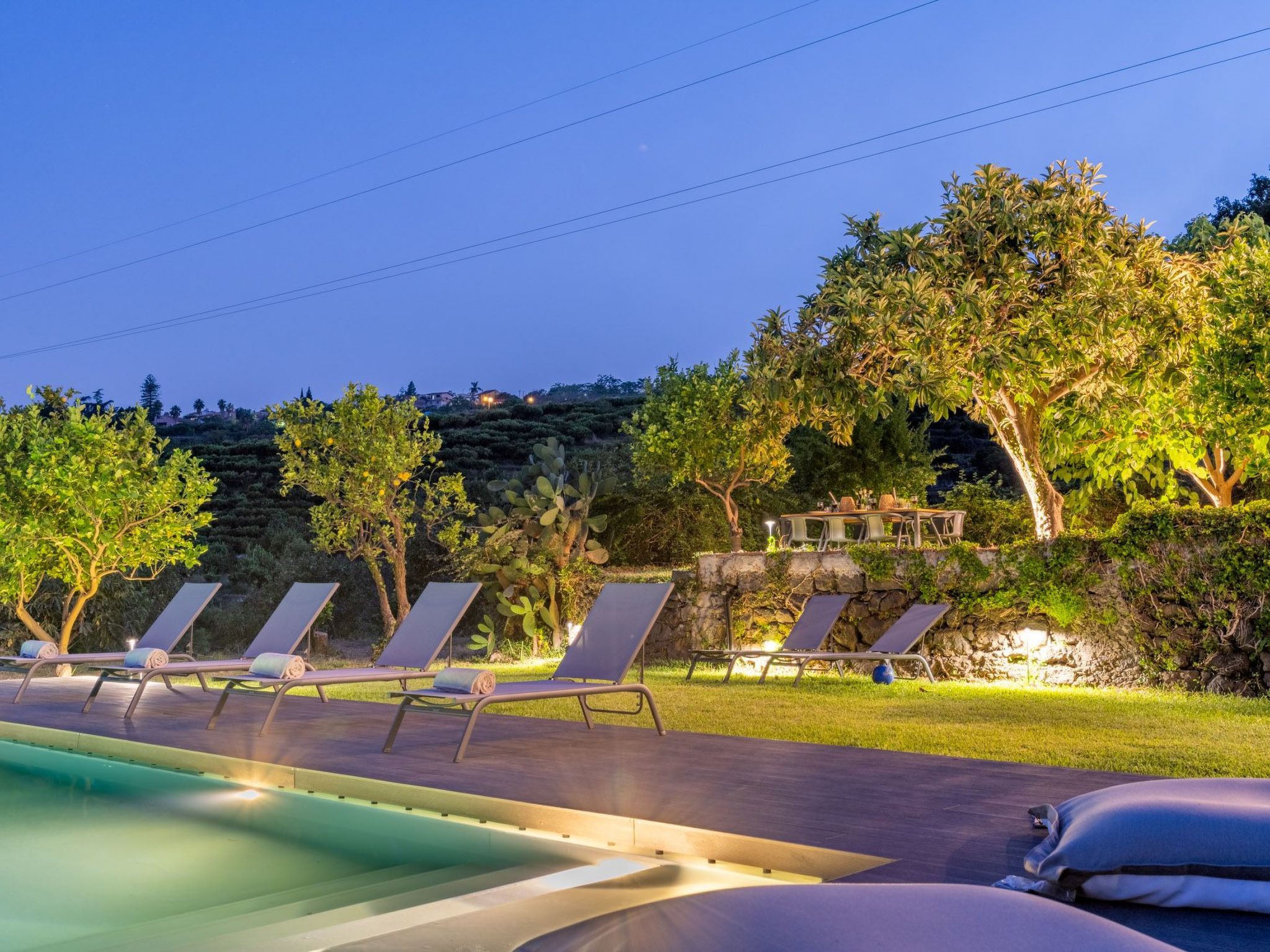 Avocado Garten-Binnen