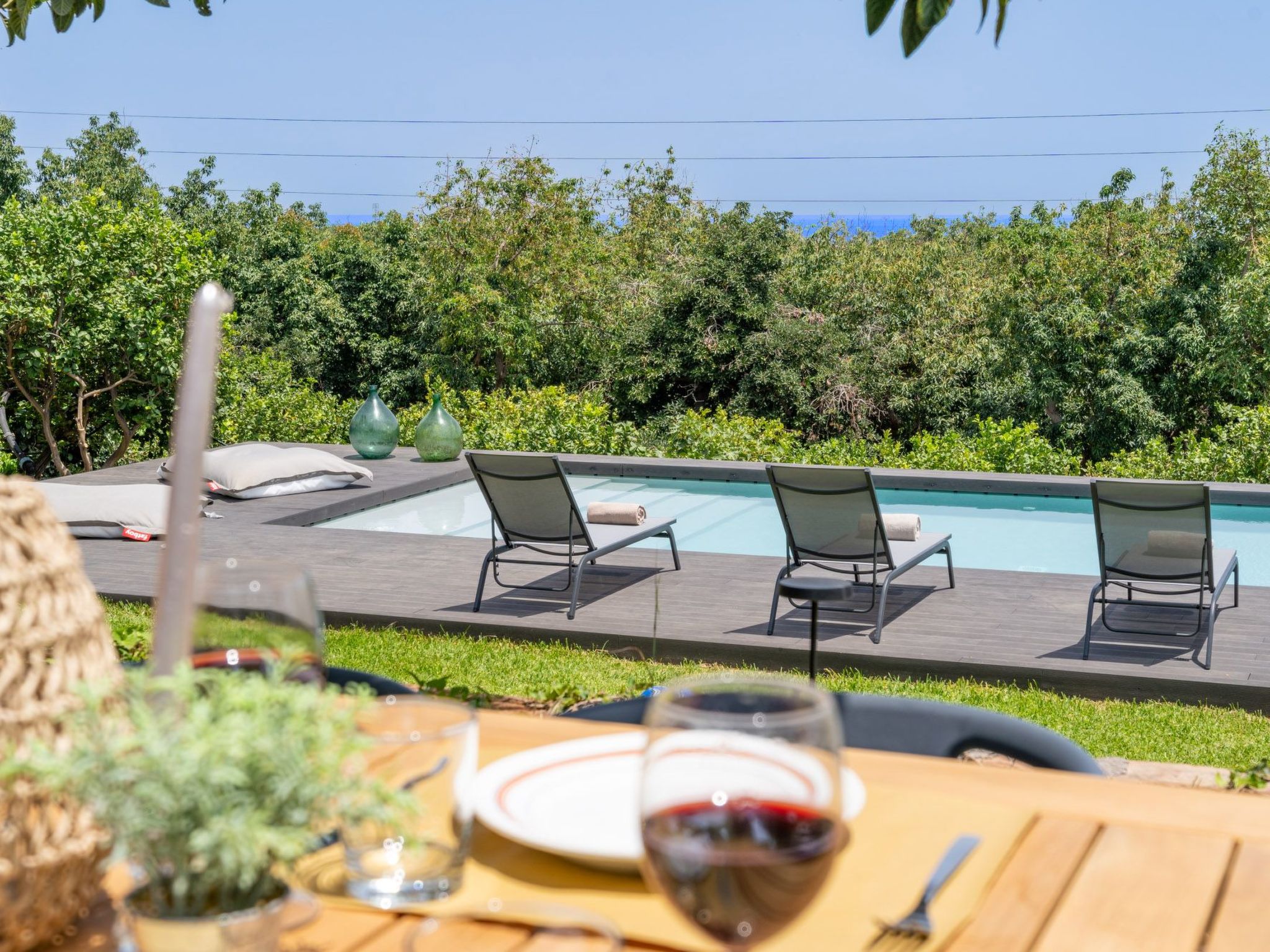 Avocado Garten-Binnen