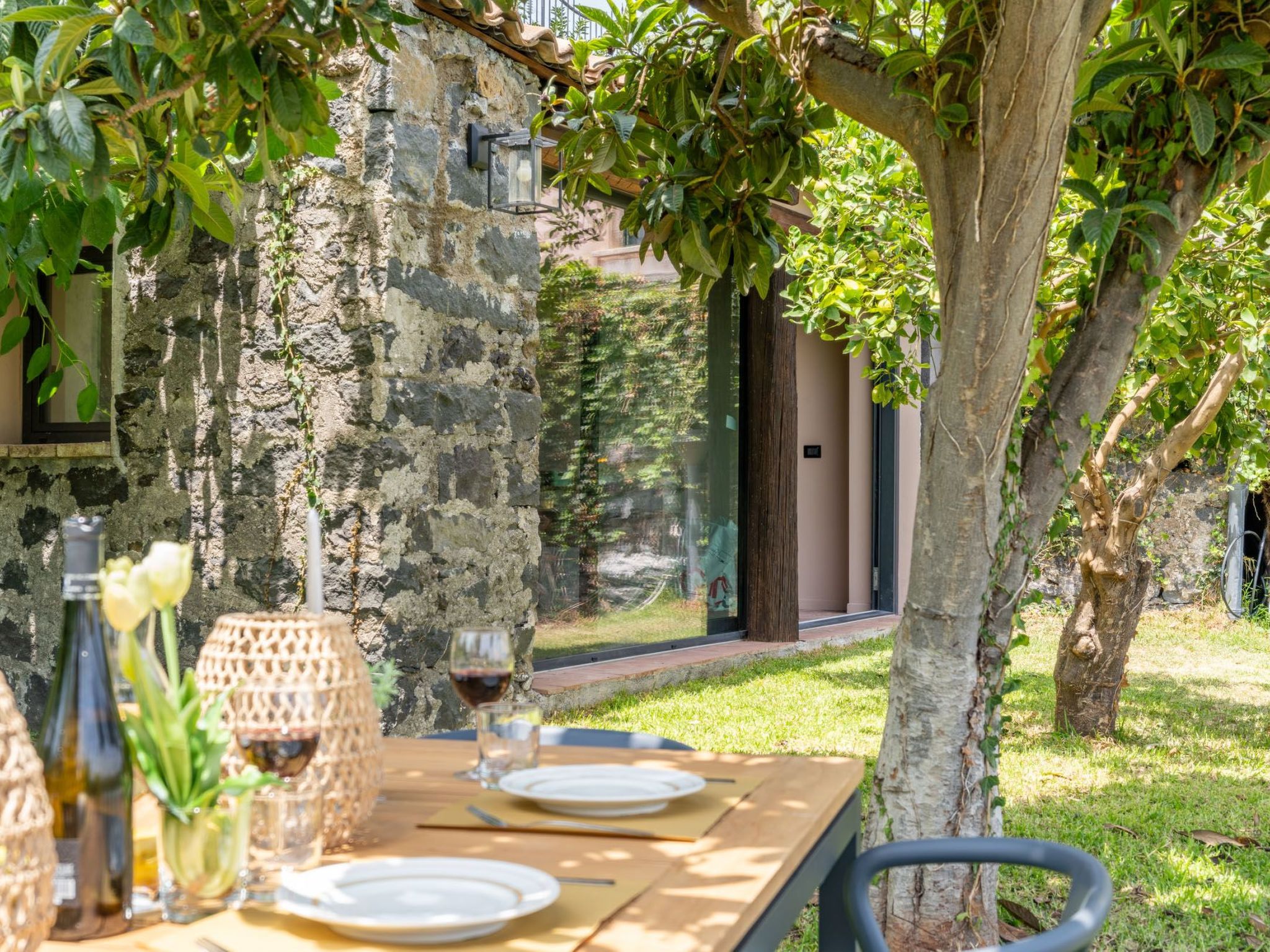 Avocado Garten-Binnen