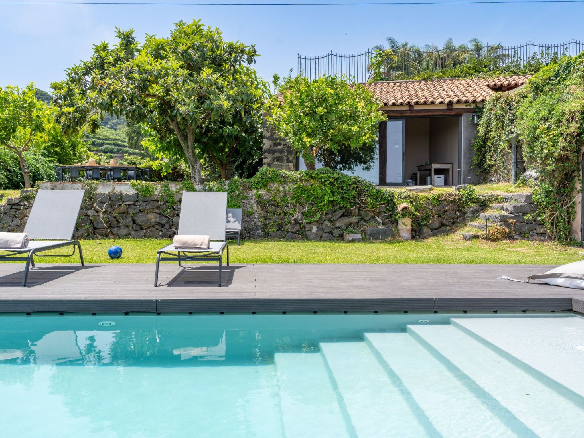 Avocado Garten-Binnen