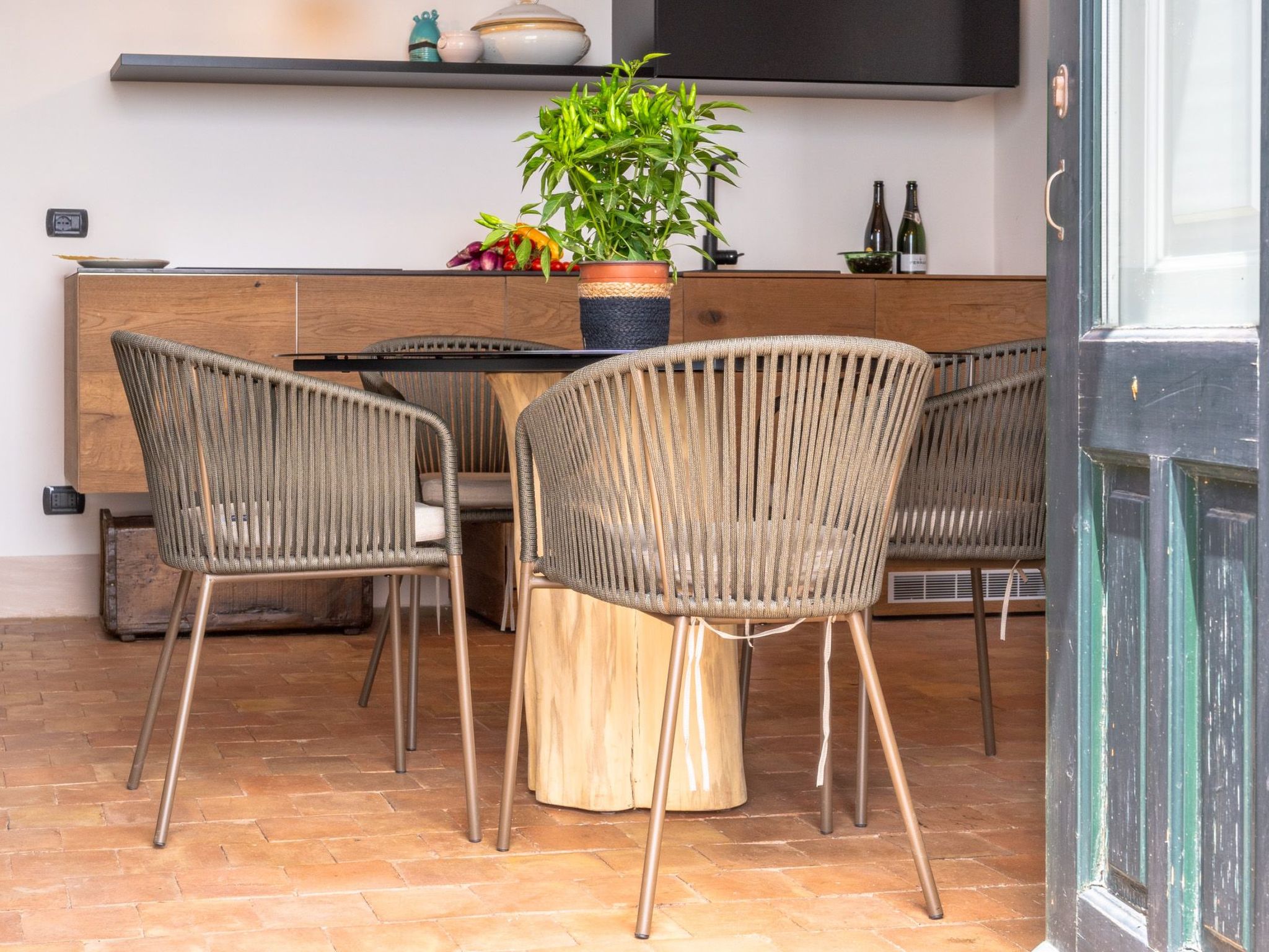 Avocado Garten-Binnen