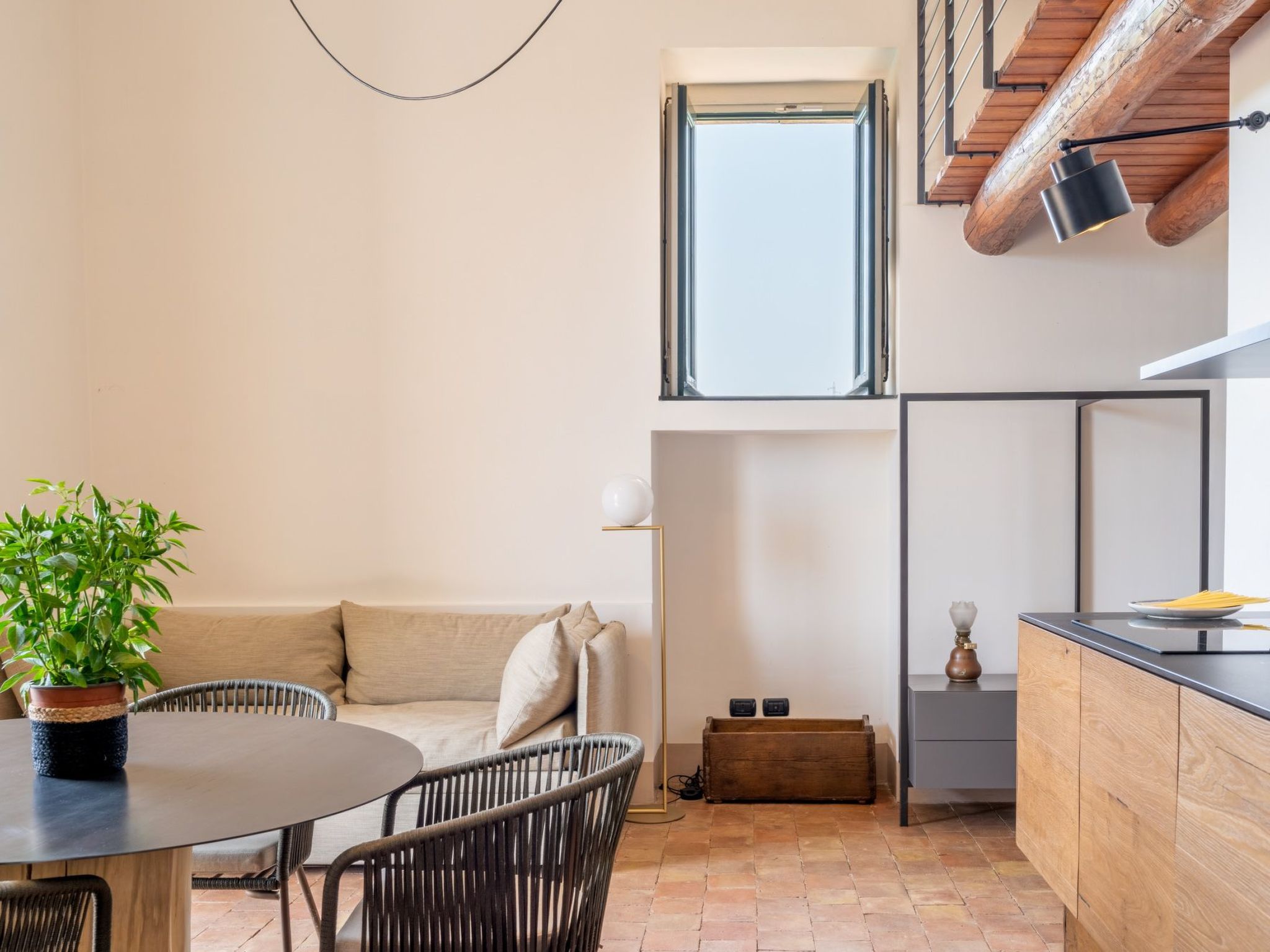 Avocado Garten-Binnen