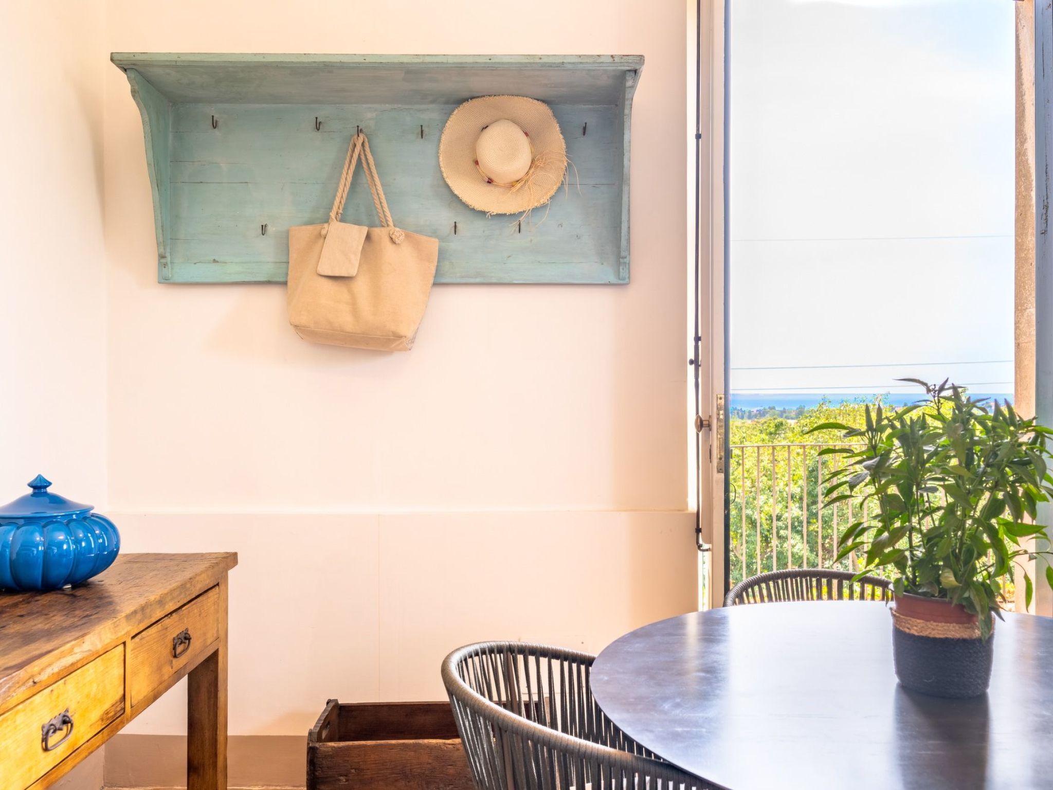 Avocado Garten-Binnen