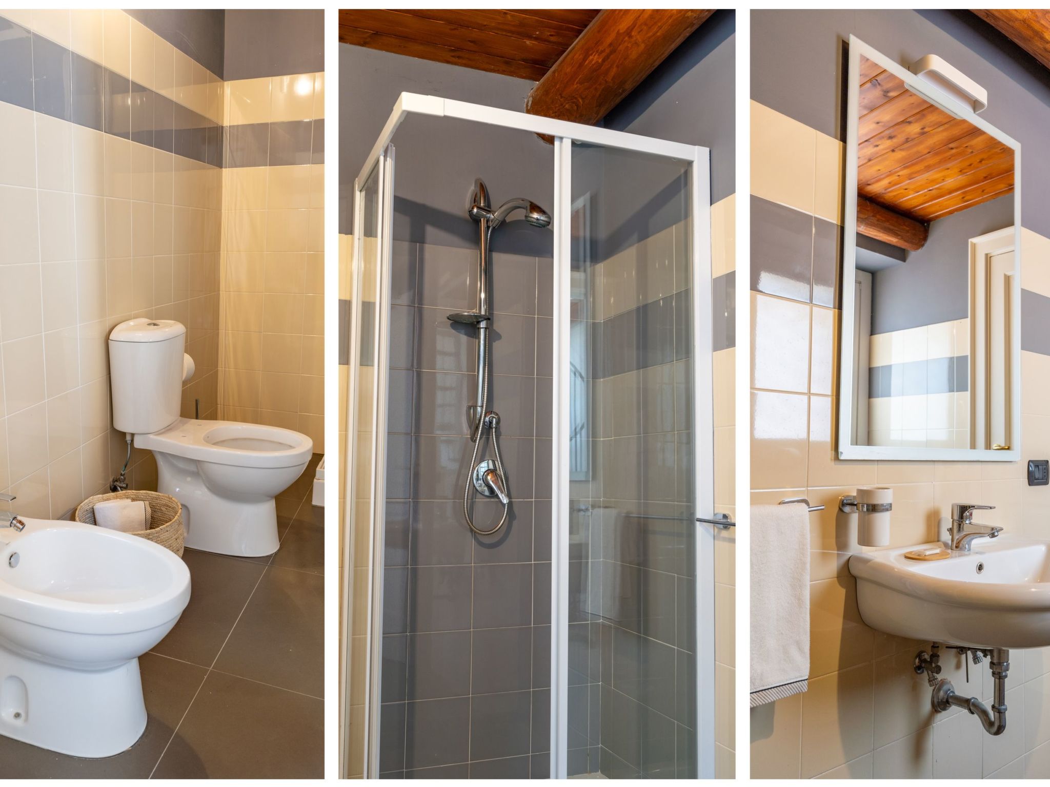 Avocado Garten-Binnen