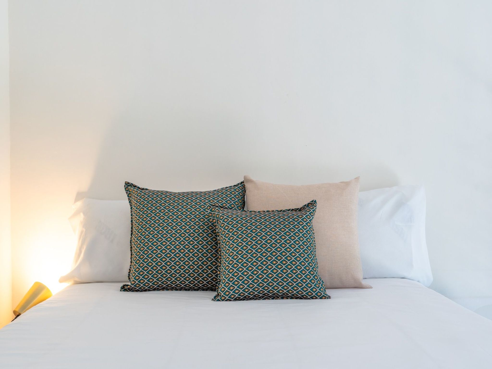 Avocado Garten-Binnen