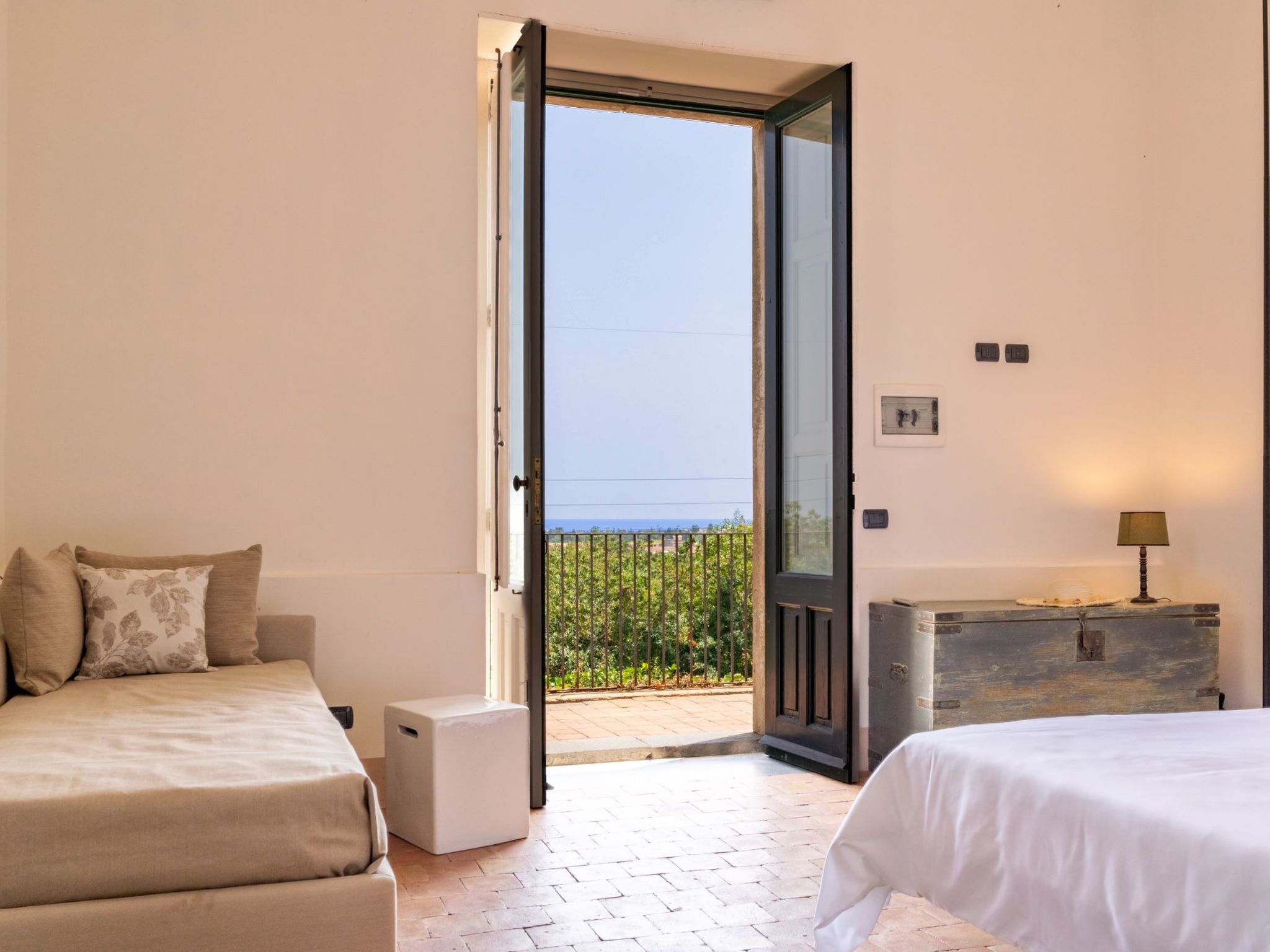 Avocado Garten-Binnen