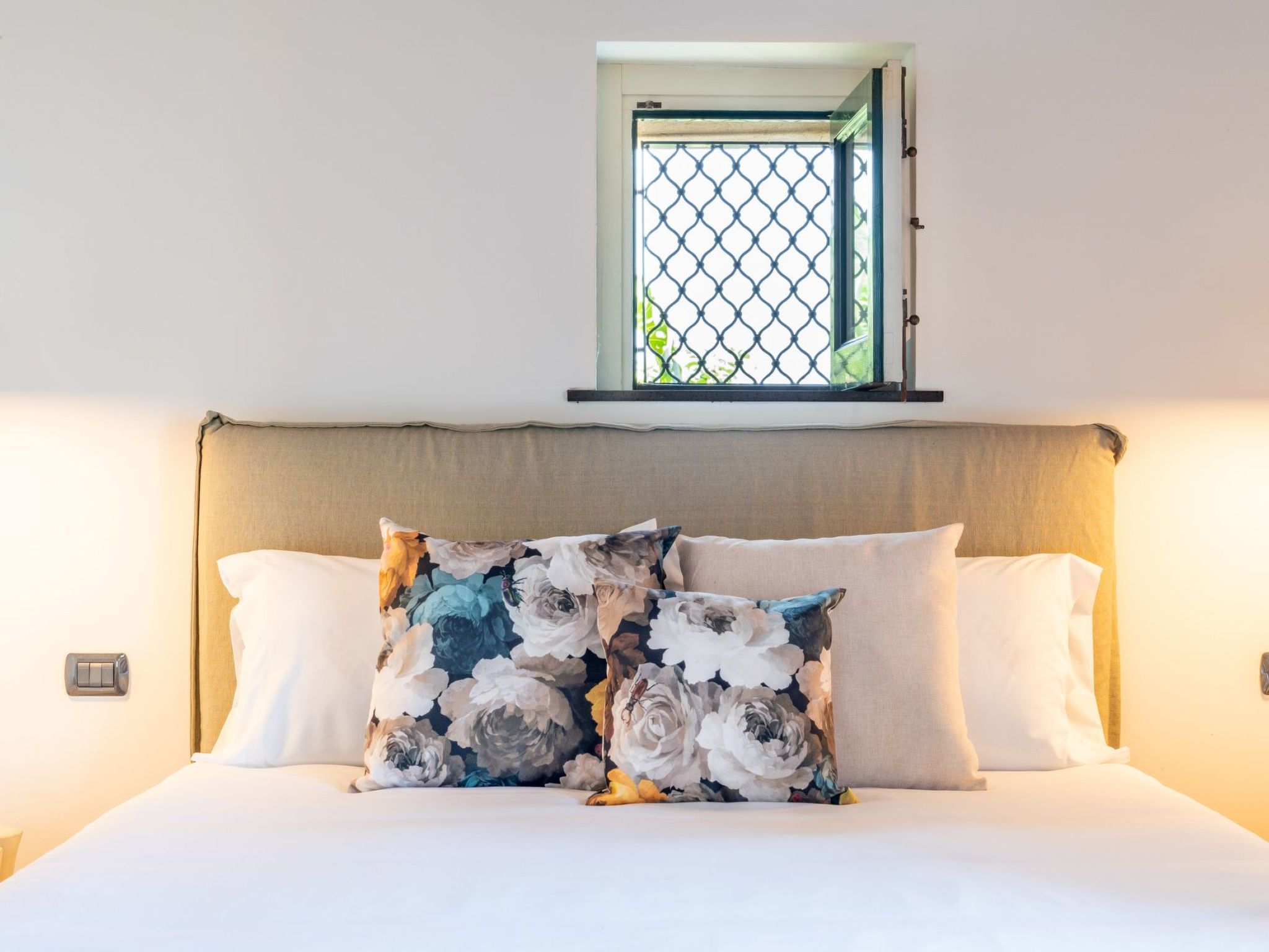 Avocado Garten-Binnen