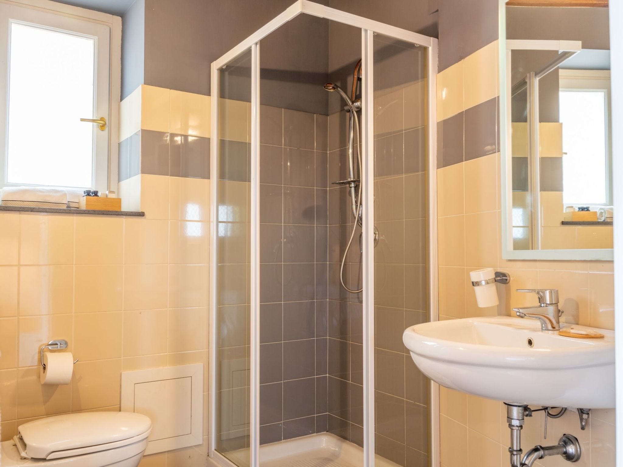 Avocado Garten-Binnen