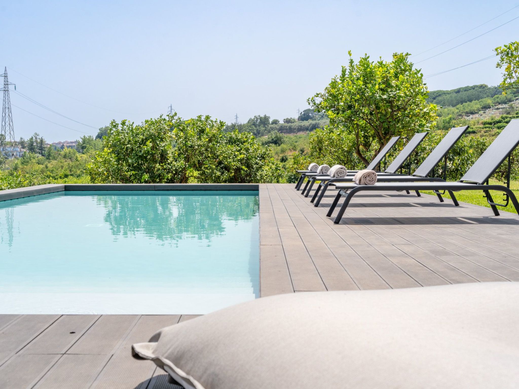 Avocado Garten-Binnen