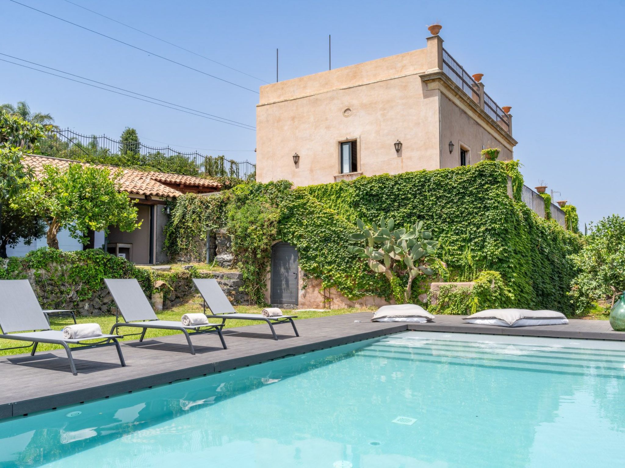 Avocado Garten-Binnen