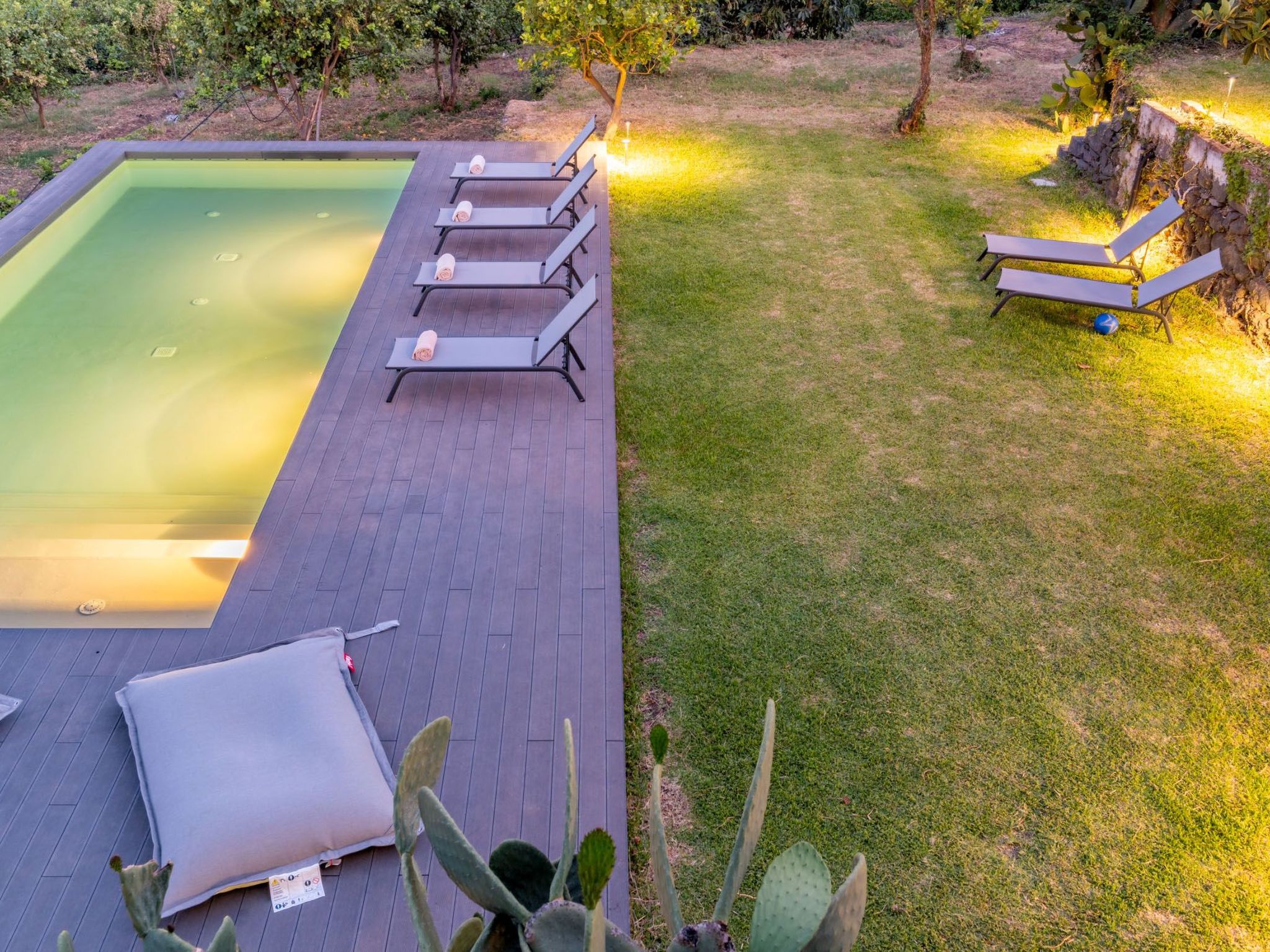 Avocado Garten-Binnen