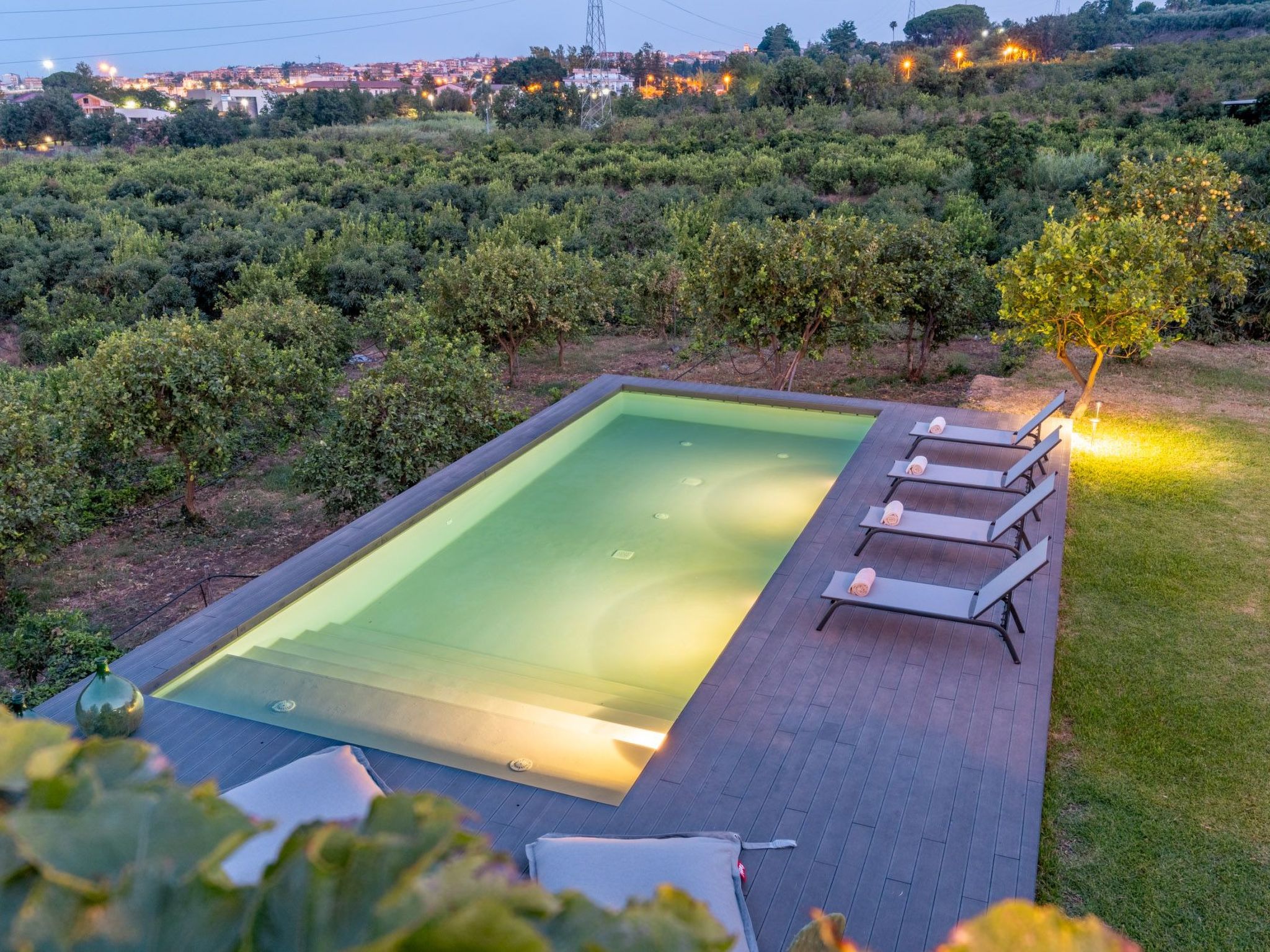 Avocado Garten-Binnen