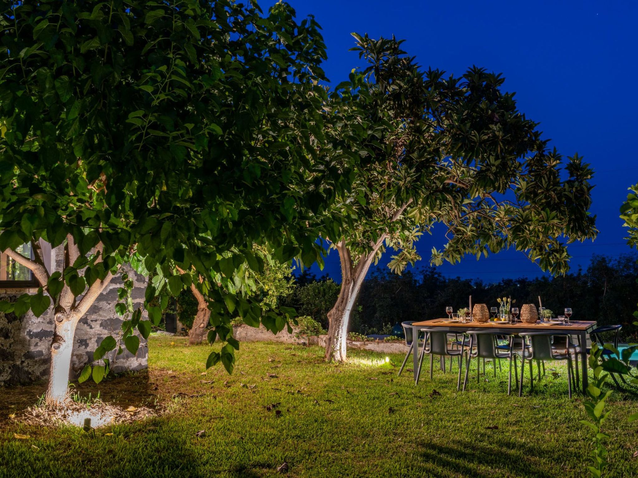 Avocado Garten-Binnen