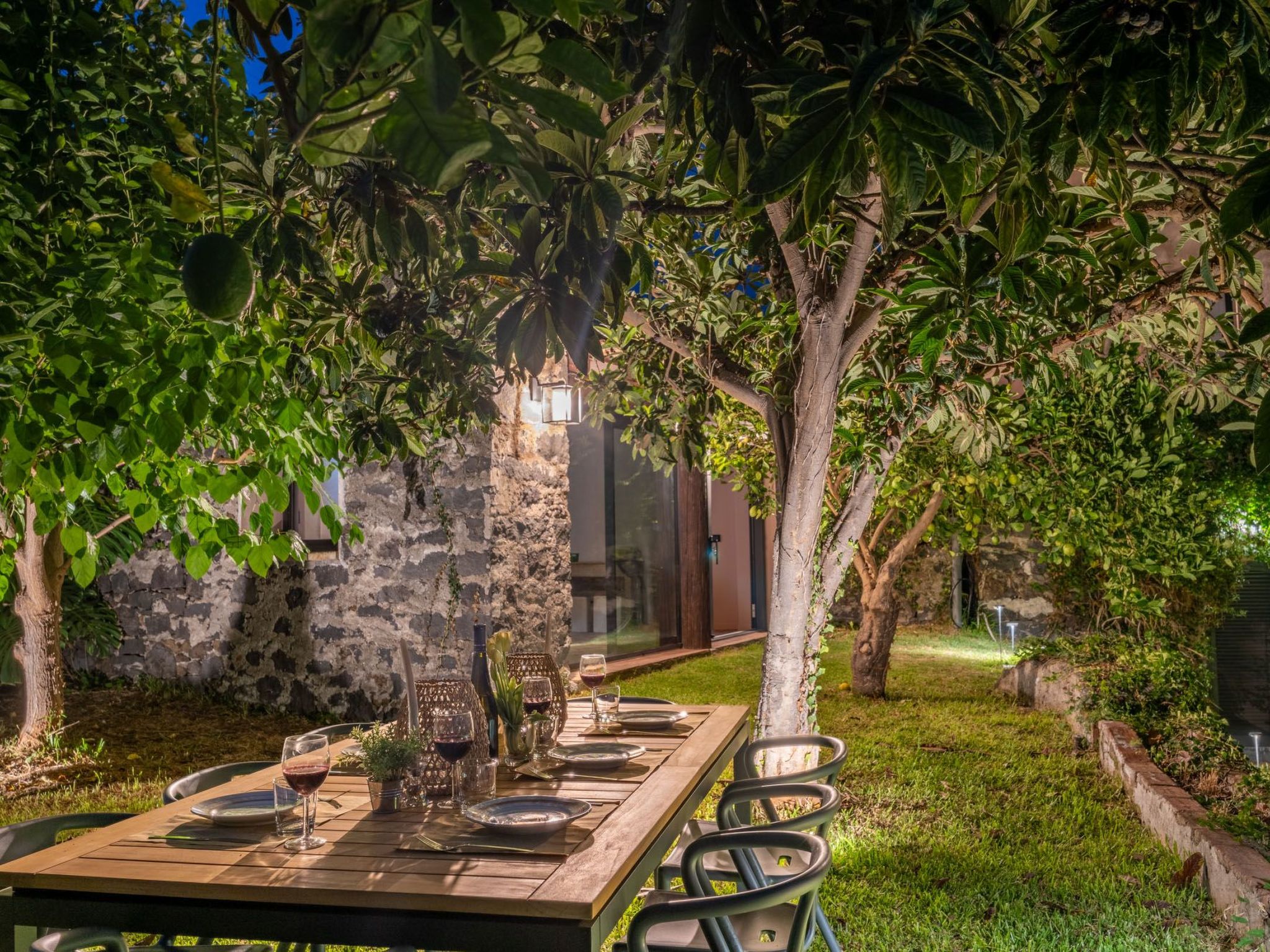 Avocado Garten-Binnen