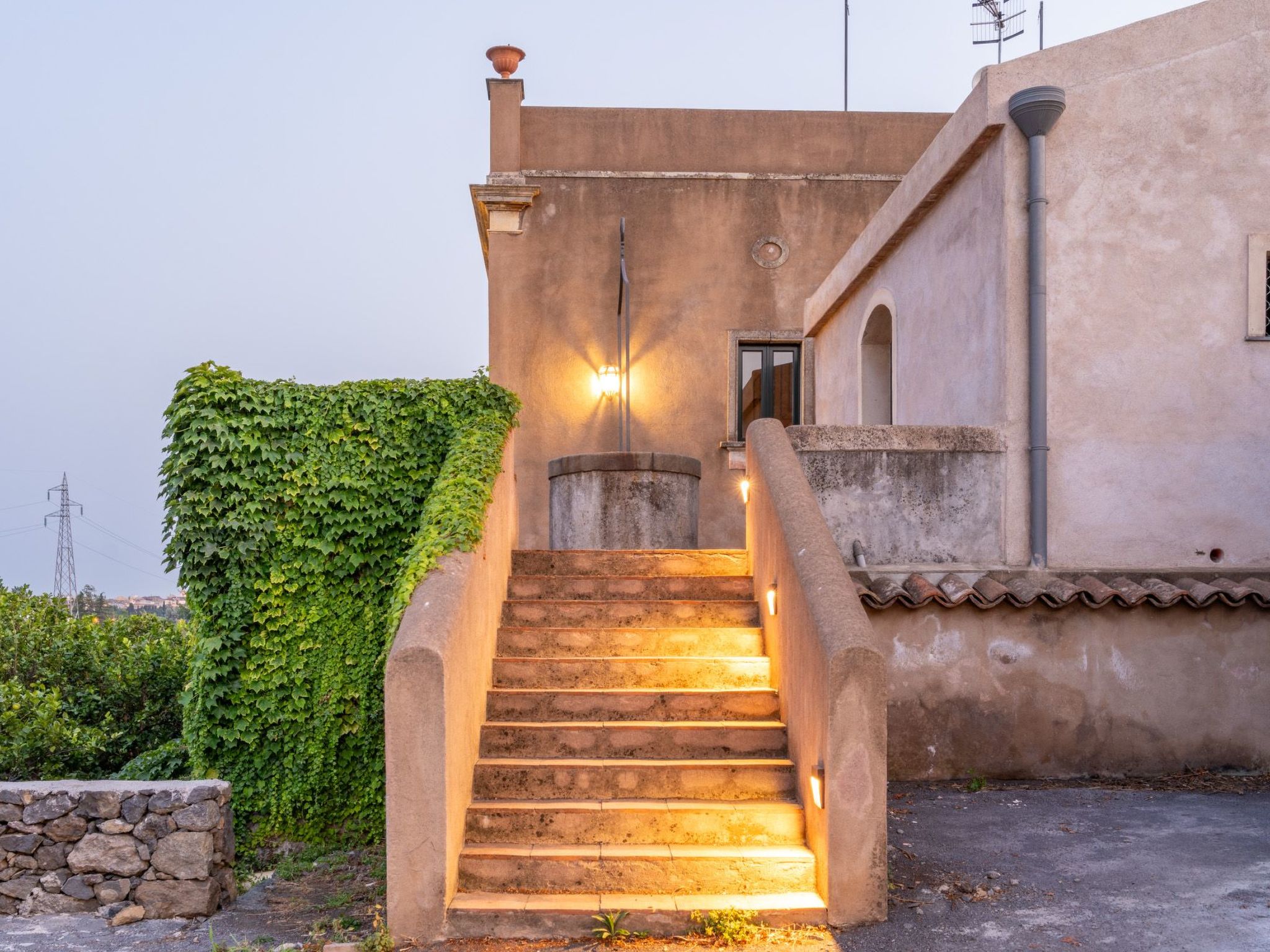 Avocado Garten-Binnen