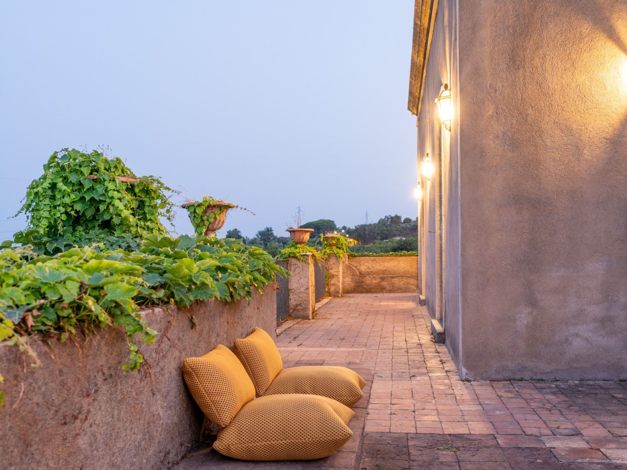 Avocado Garten-Binnen