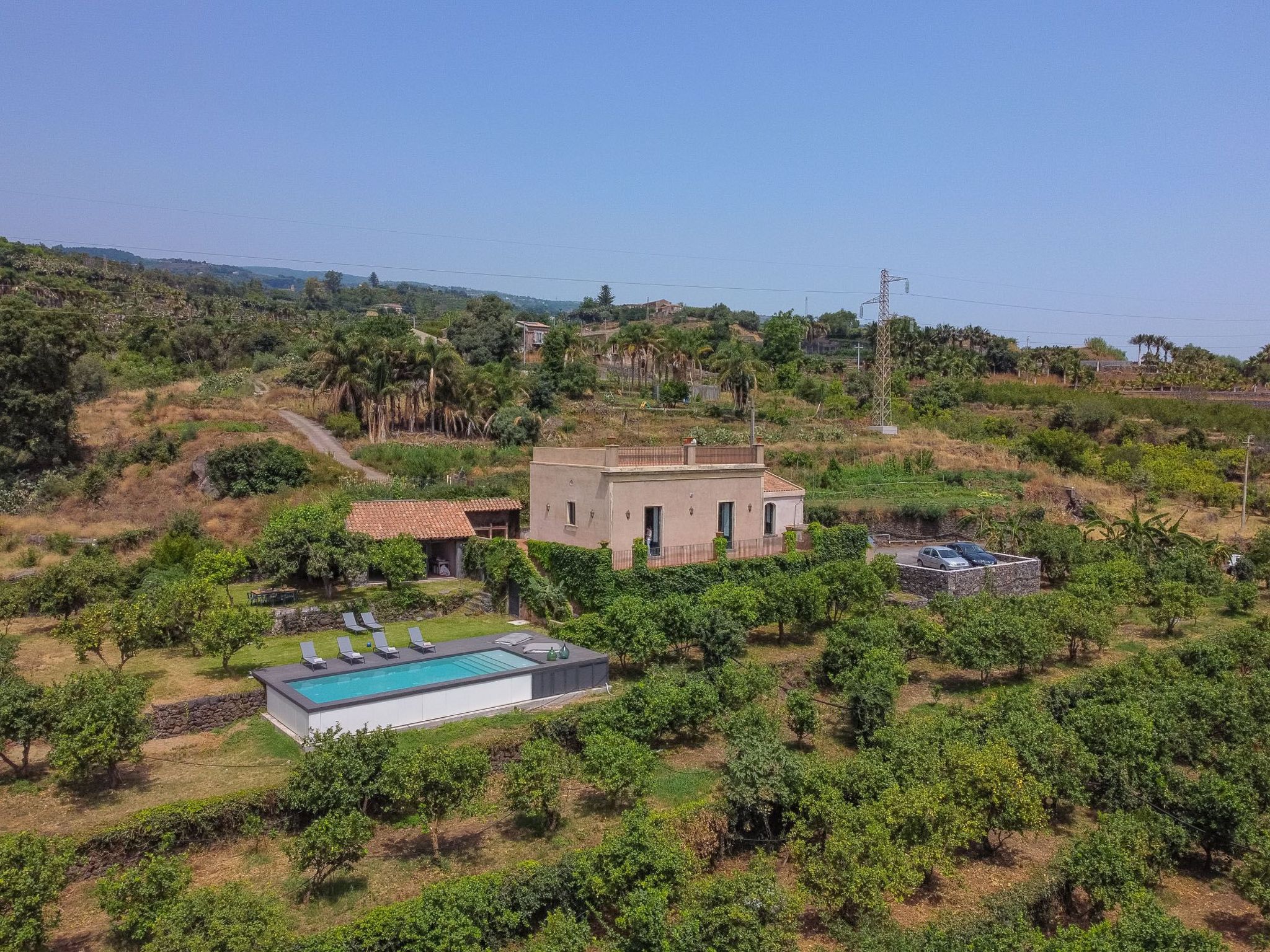 Avocado Garten-Binnen