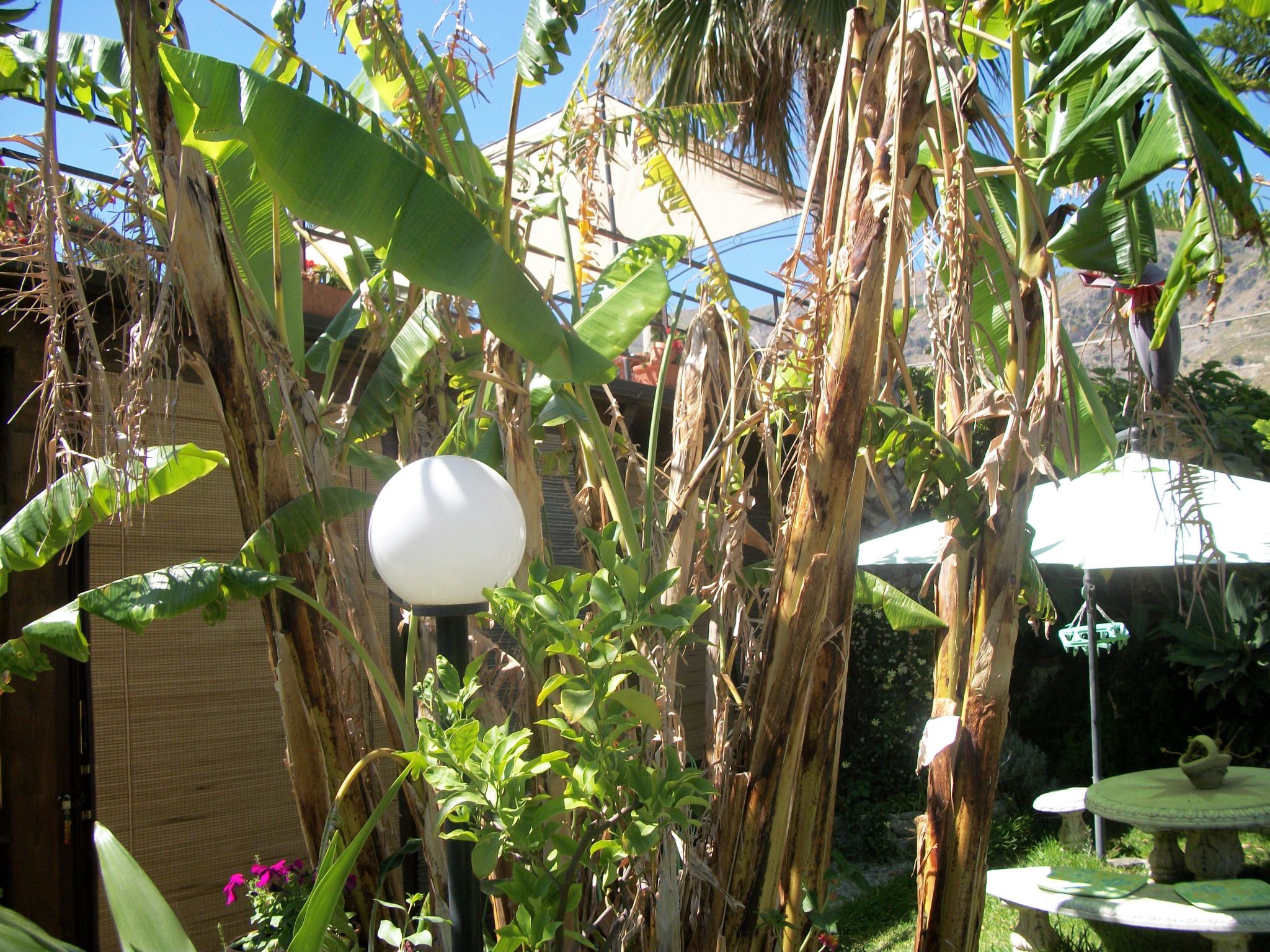 Photo of IT9614.632.1