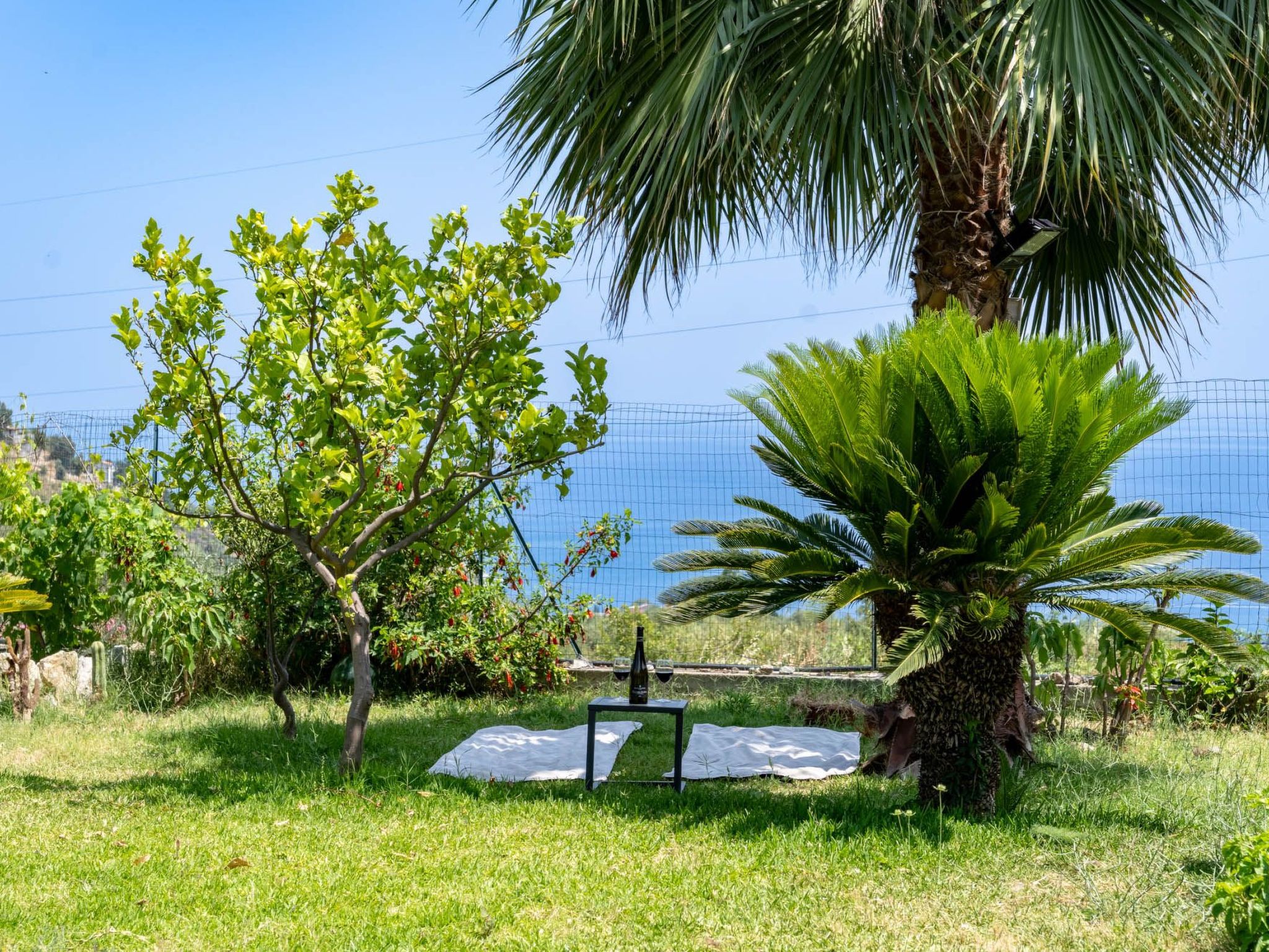 Photo of IT9614.633.1