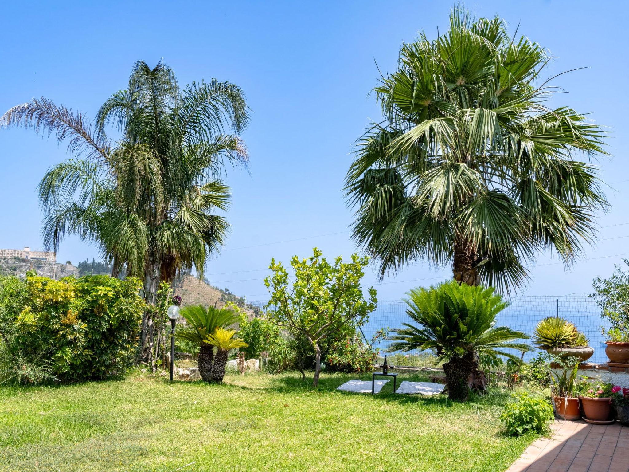 Photo of IT9614.633.1