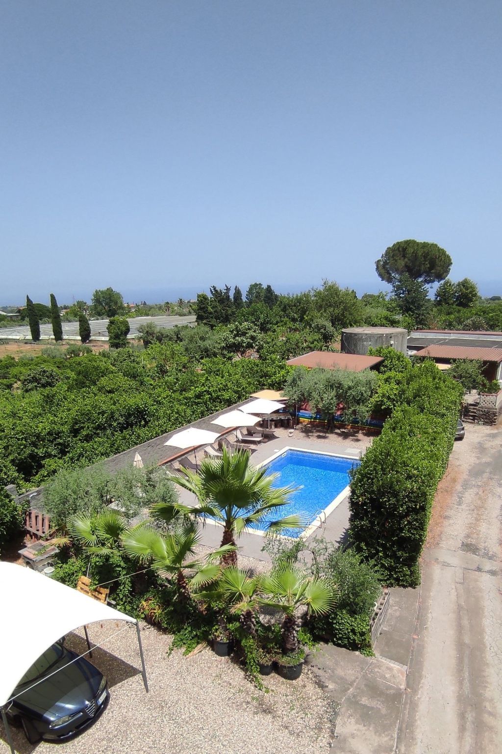 Le Palme in linera-Binnen