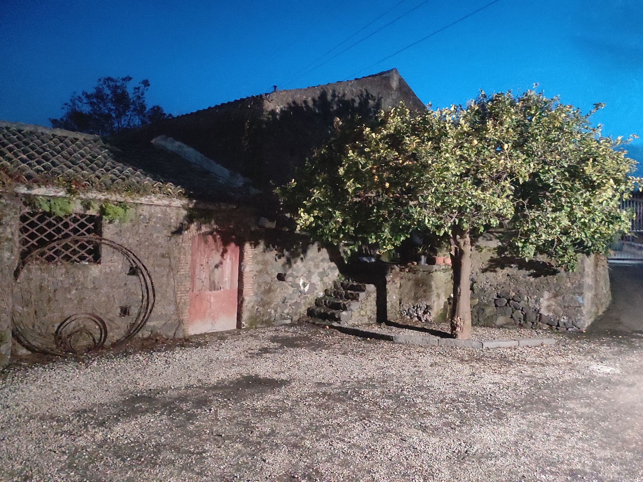 Le Palme in linera-Binnen