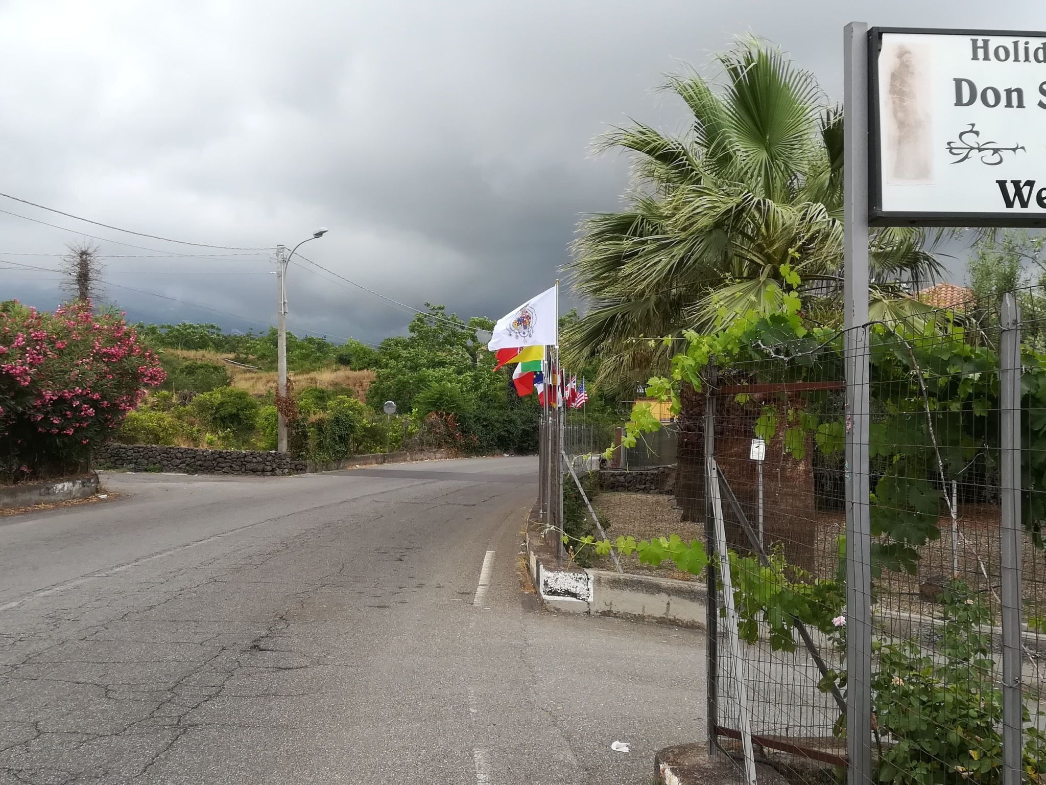 Le Palme in linera-Binnen
