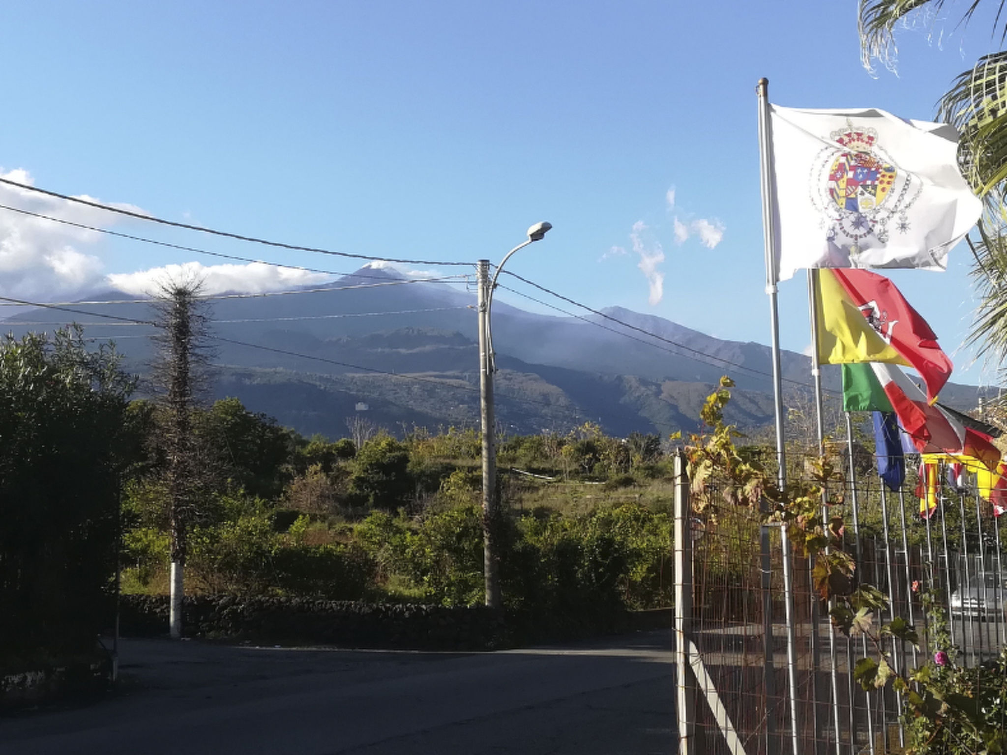 Le Palme in linera-Binnen