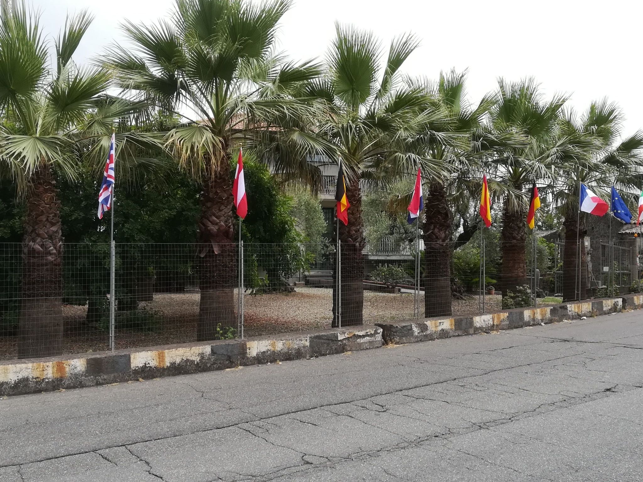 Le Palme in linera-Binnen