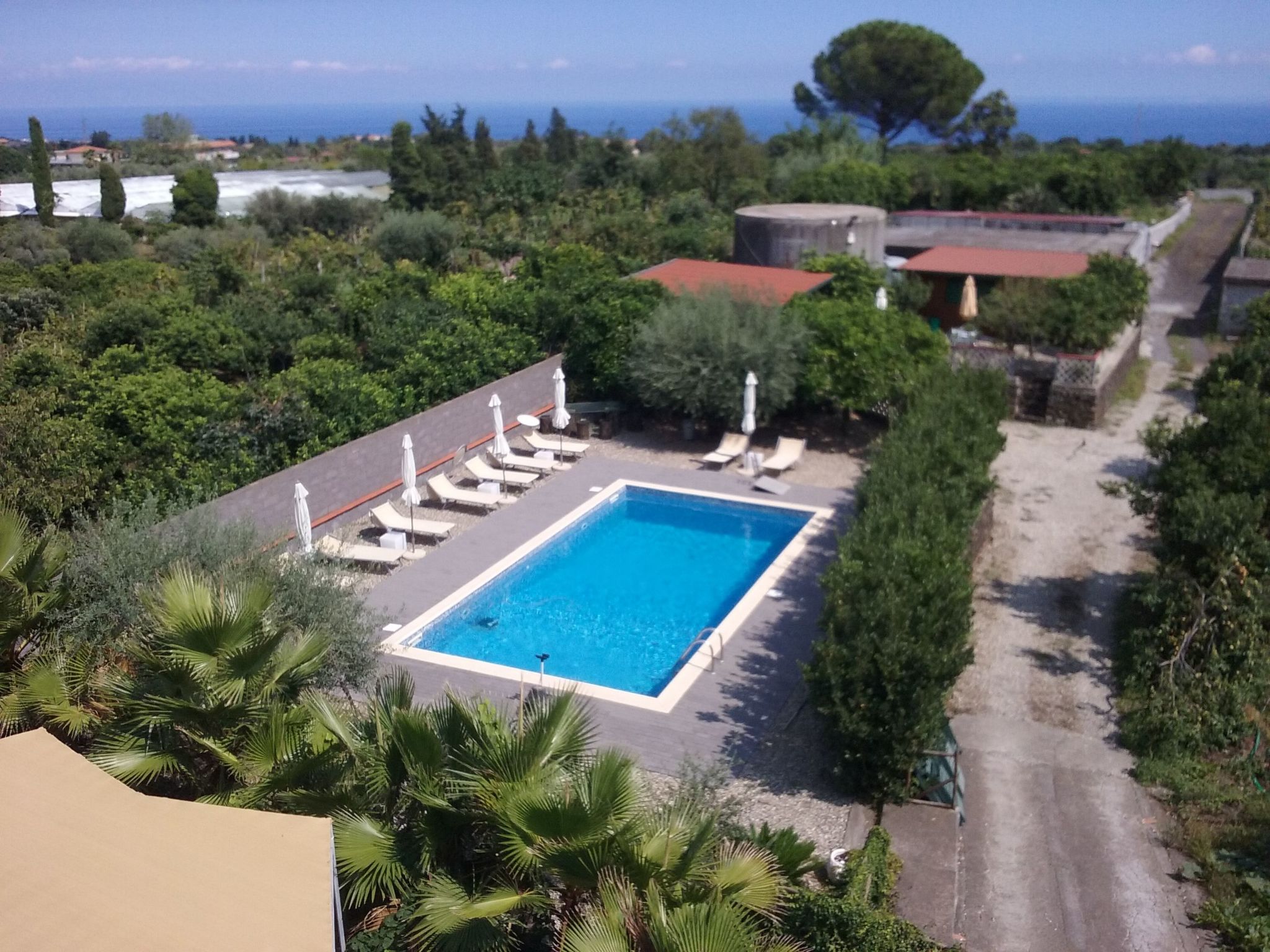 Le Palme in linera-Binnen