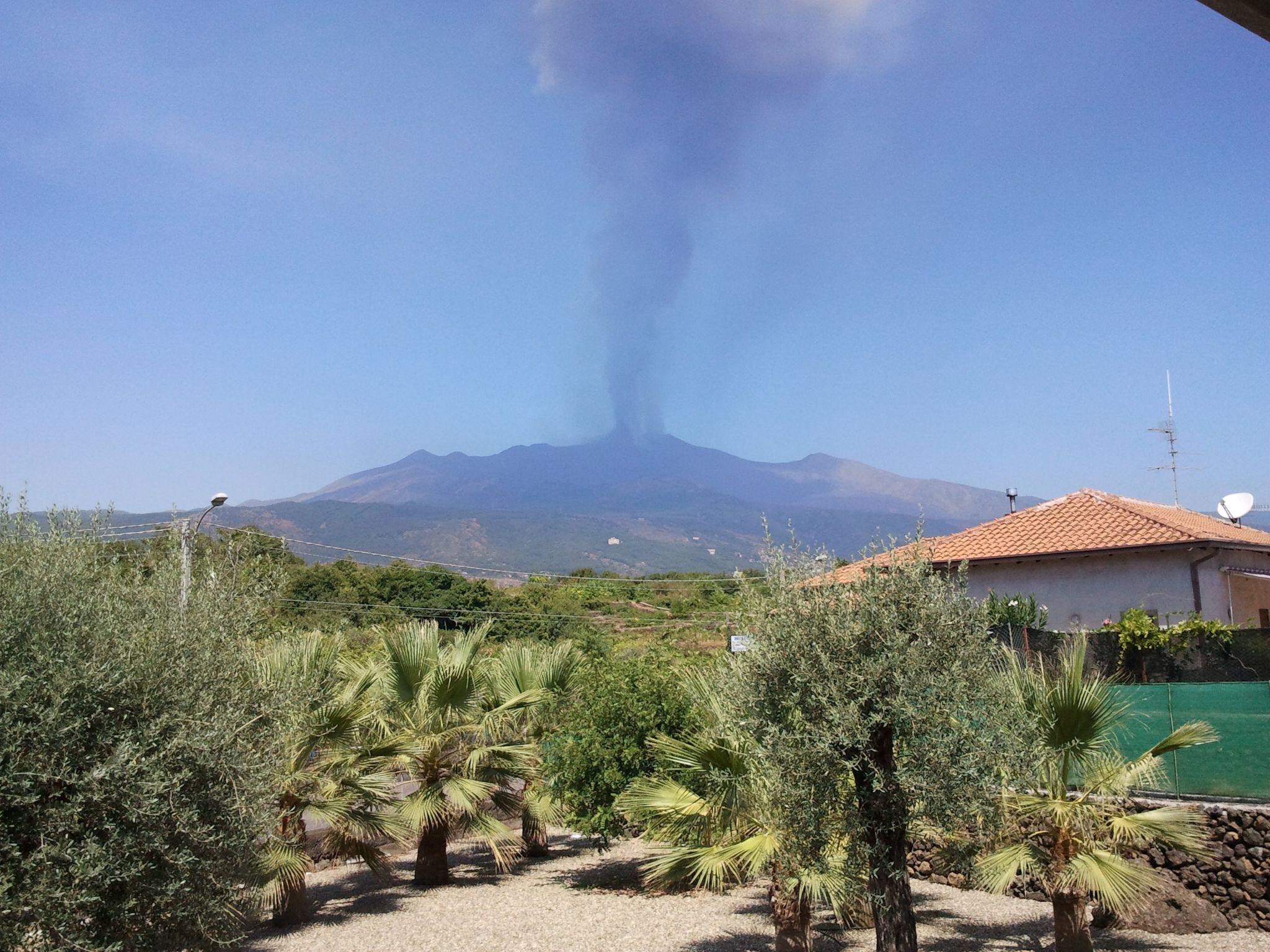 Le Palme in linera-Binnen