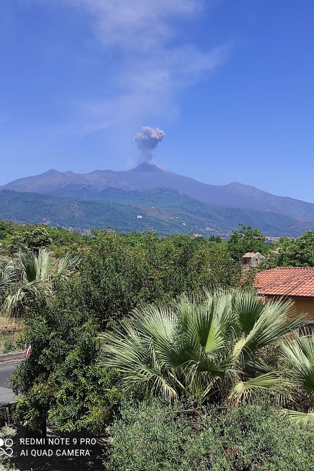 Le Palme in linera-Binnen