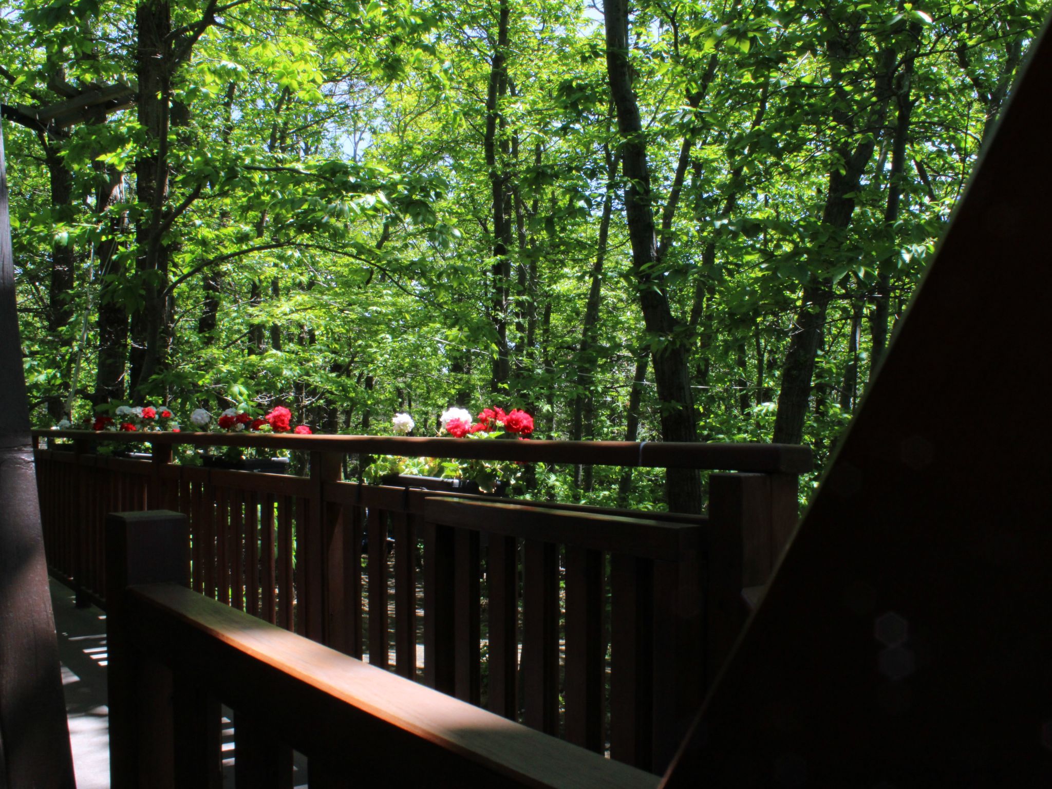 Mathilde's Chalet Naturhaus-Image-tags.info