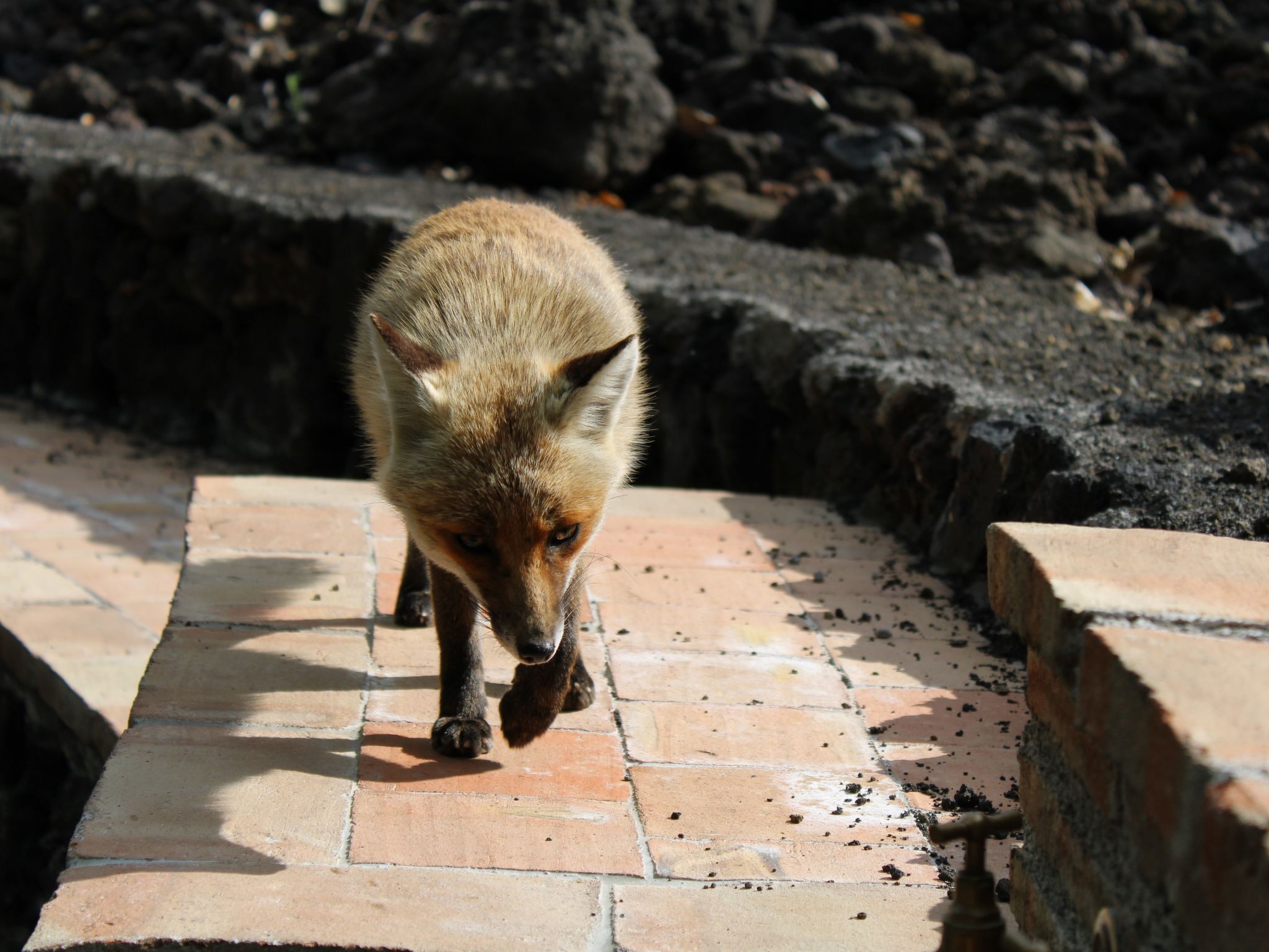 Mathilde's Chalet Naturhaus-Image-tags.info