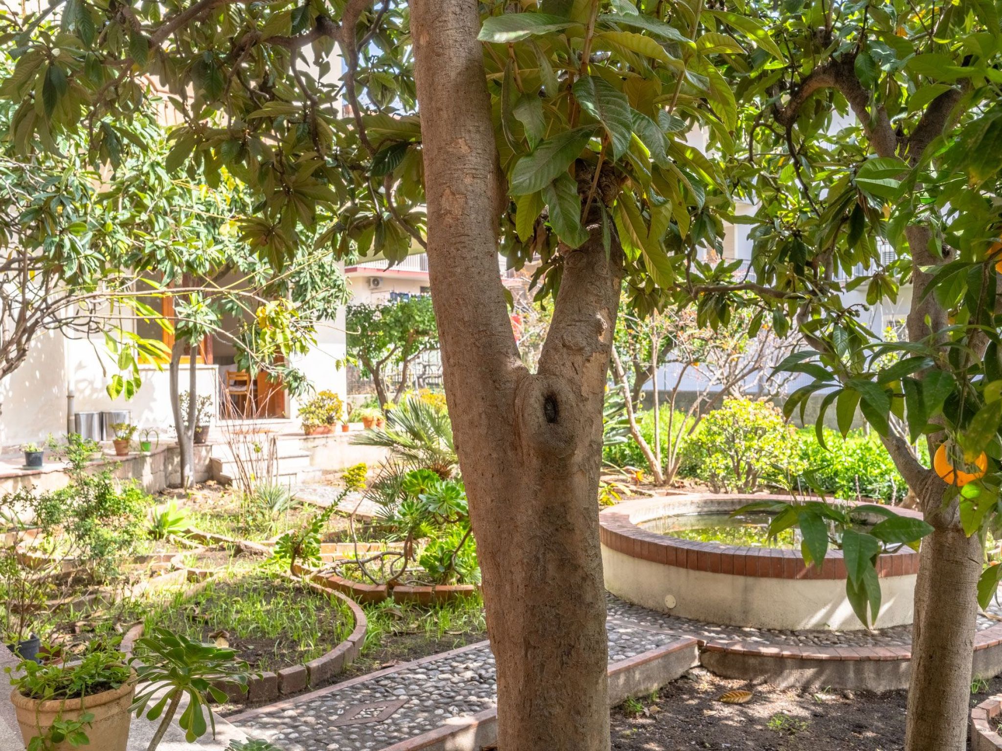 Die Orange und der Goldfisch-Dedans