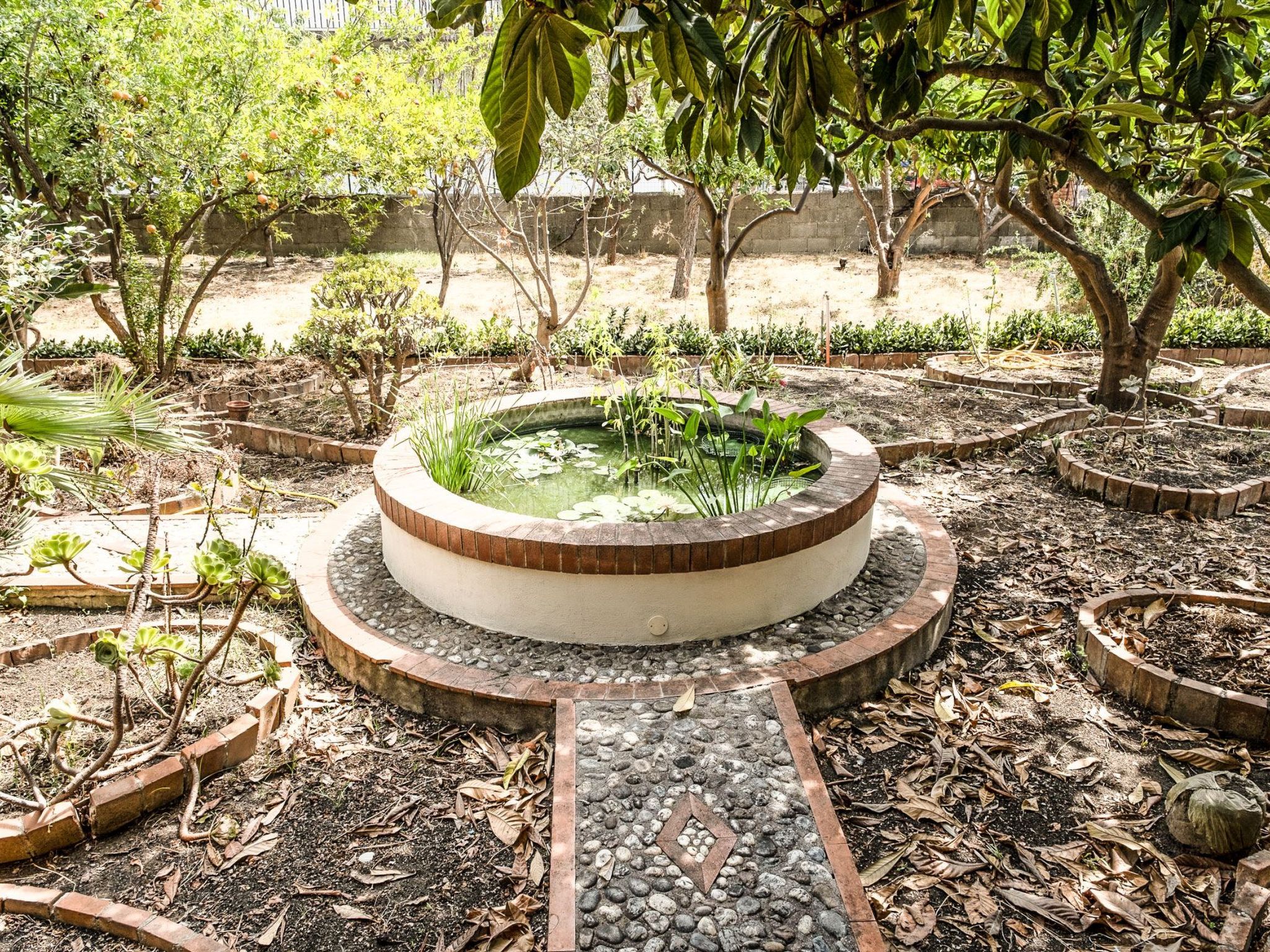 Die Orange und der Goldfisch-Dedans