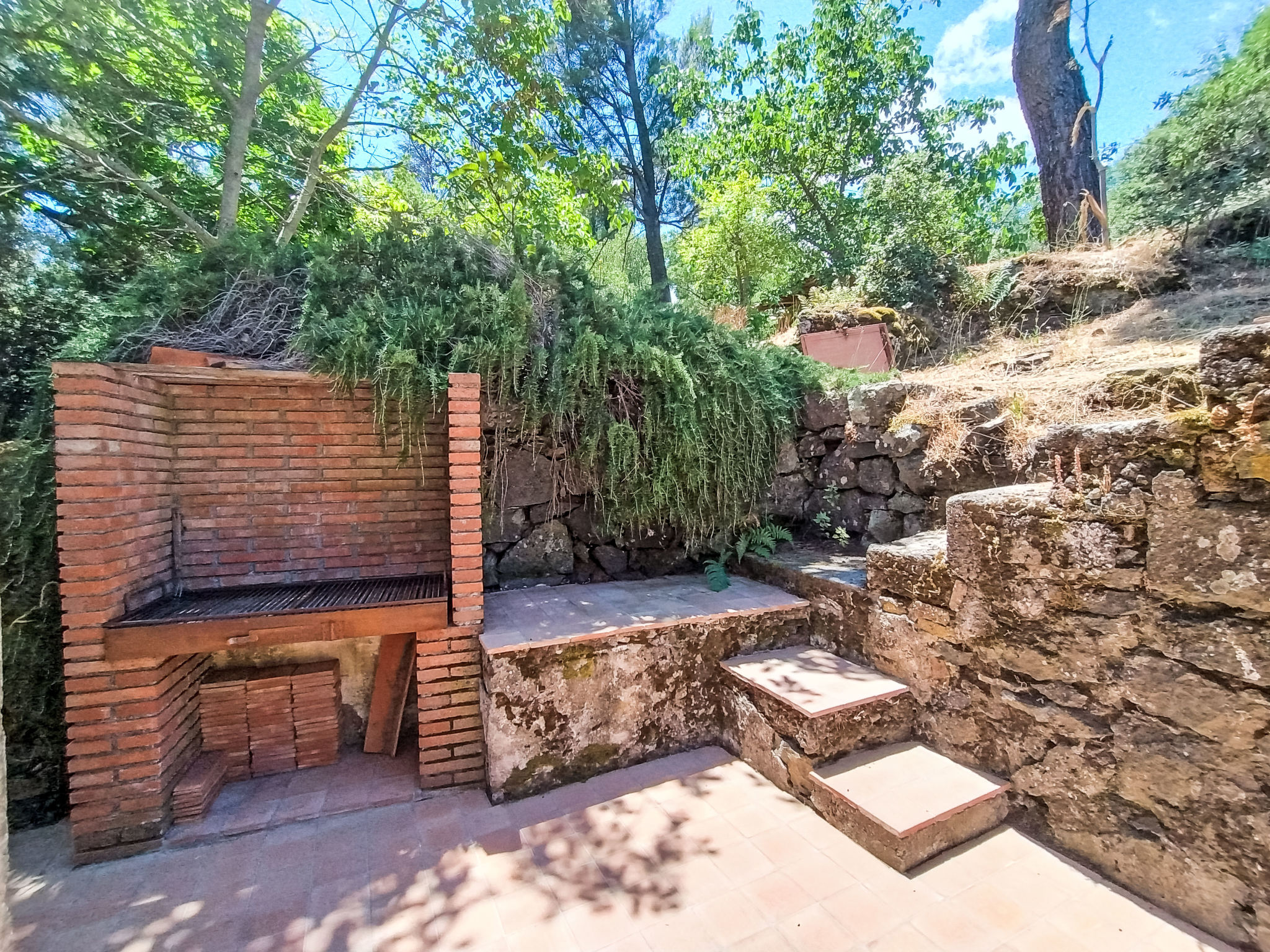 Il Giardino di Lara - Dehors