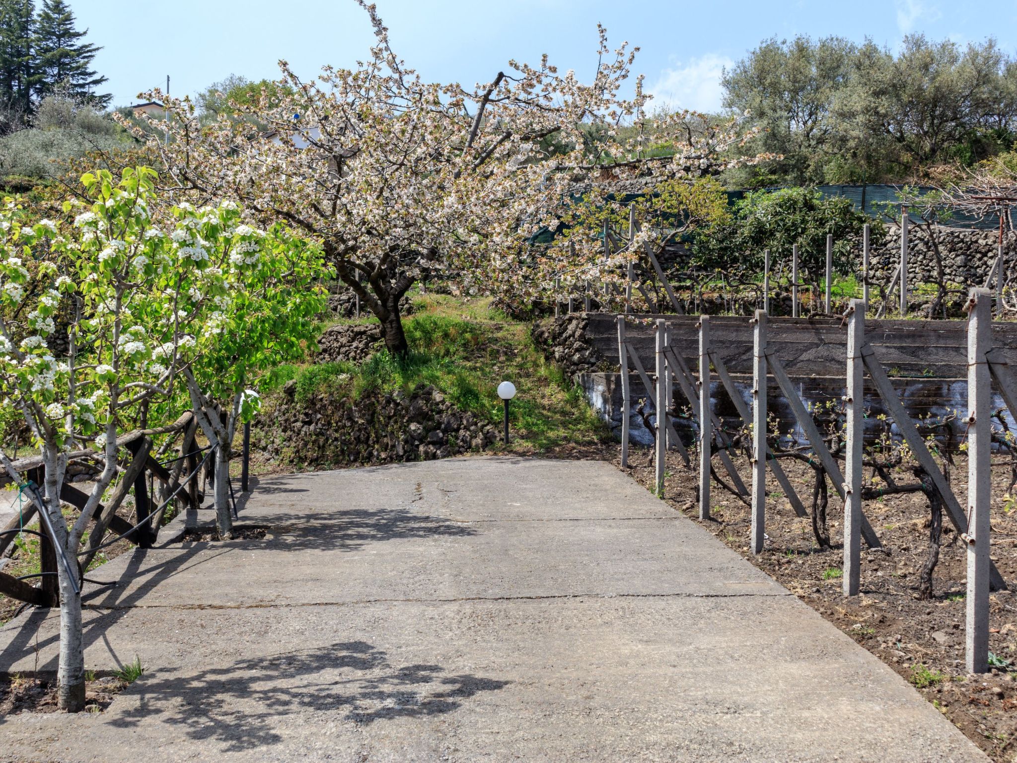 Cottage mit Whirlpool-Binnen