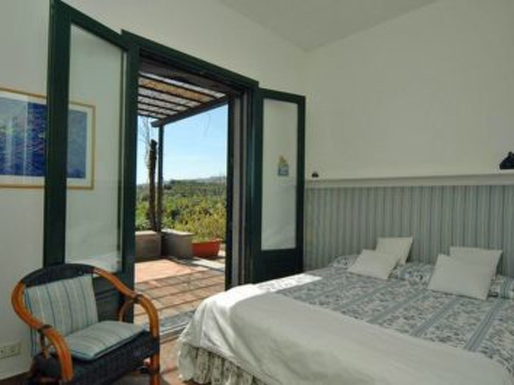 "Mandarin" mit Wasserblick-Image-tags.info