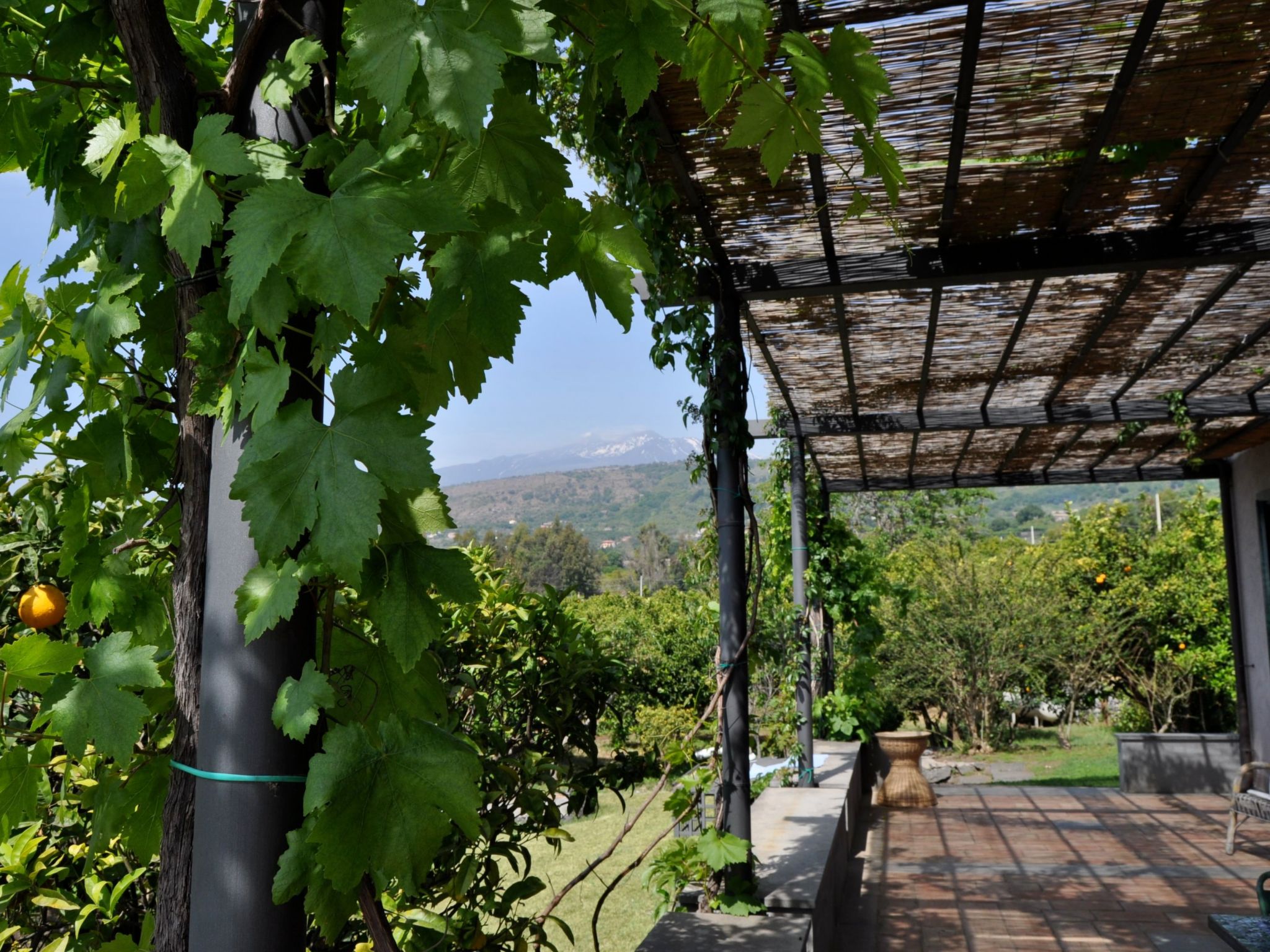 "Mandarin" mit Wasserblick-Buiten