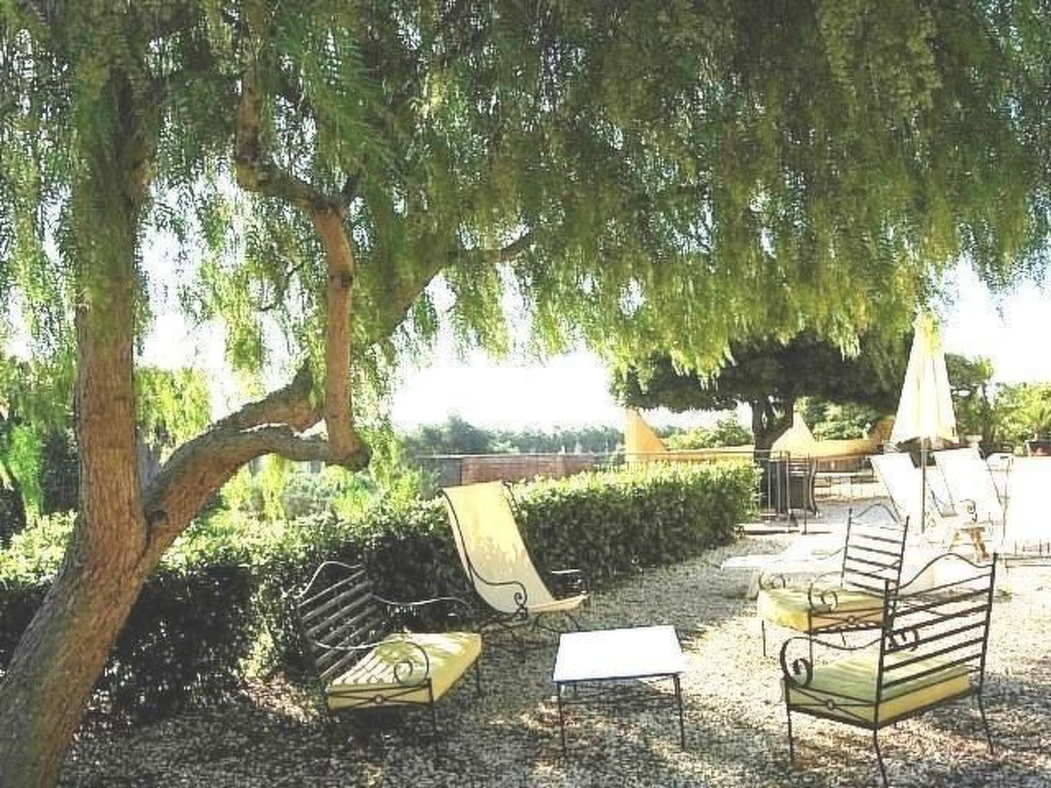 'Fiumefreddo Oasis-Dehors