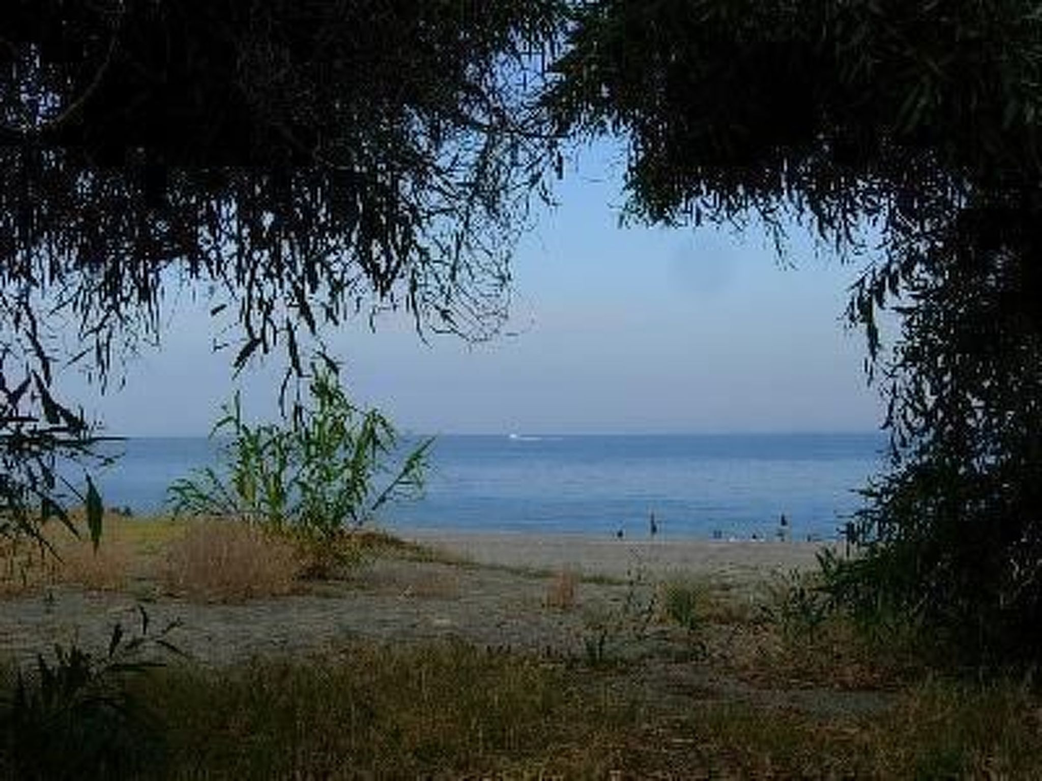 'Fiumefreddo Oasis-Image-tags.info