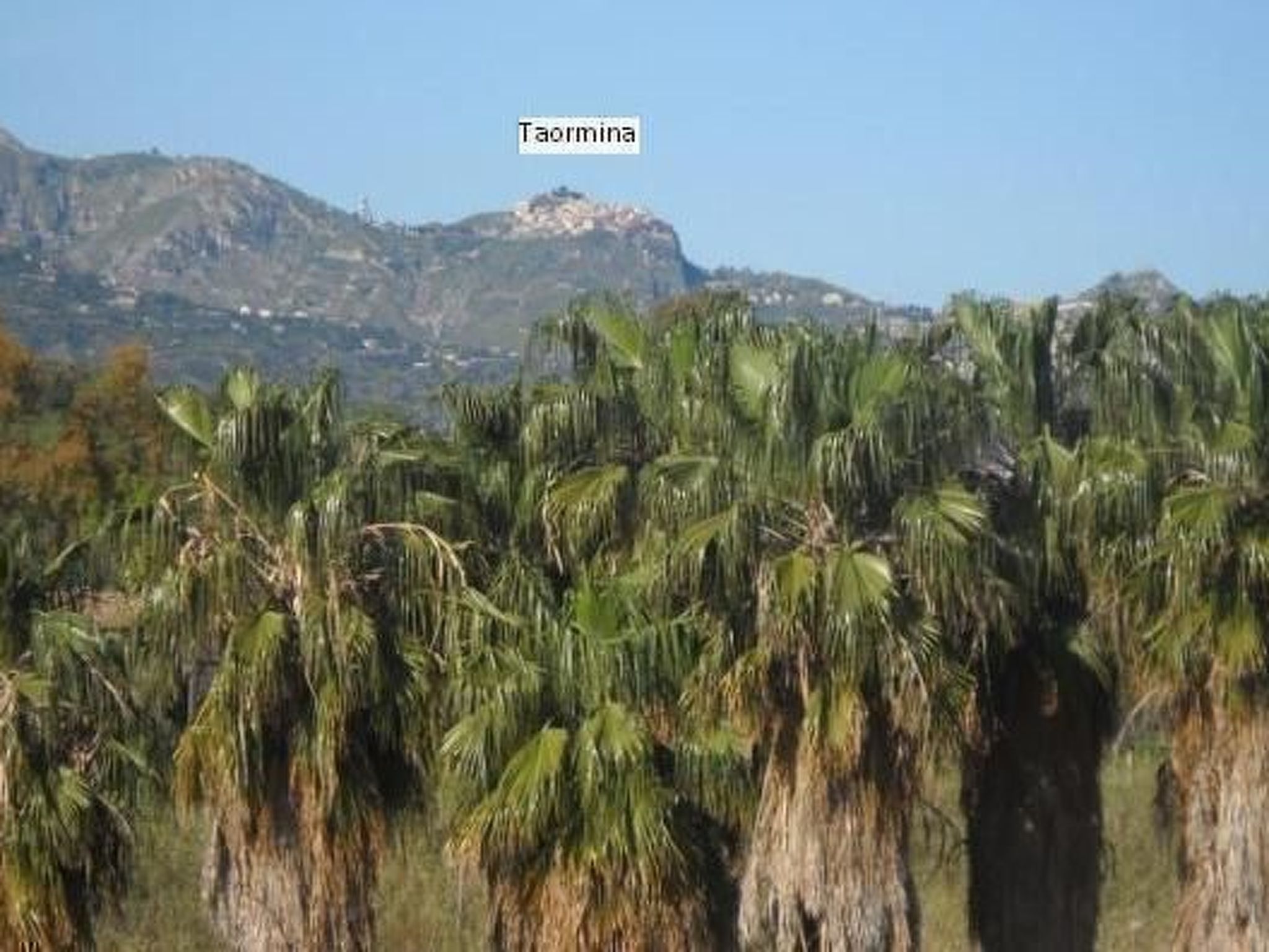 'Fiumefreddo Oasis-Image-tags.info