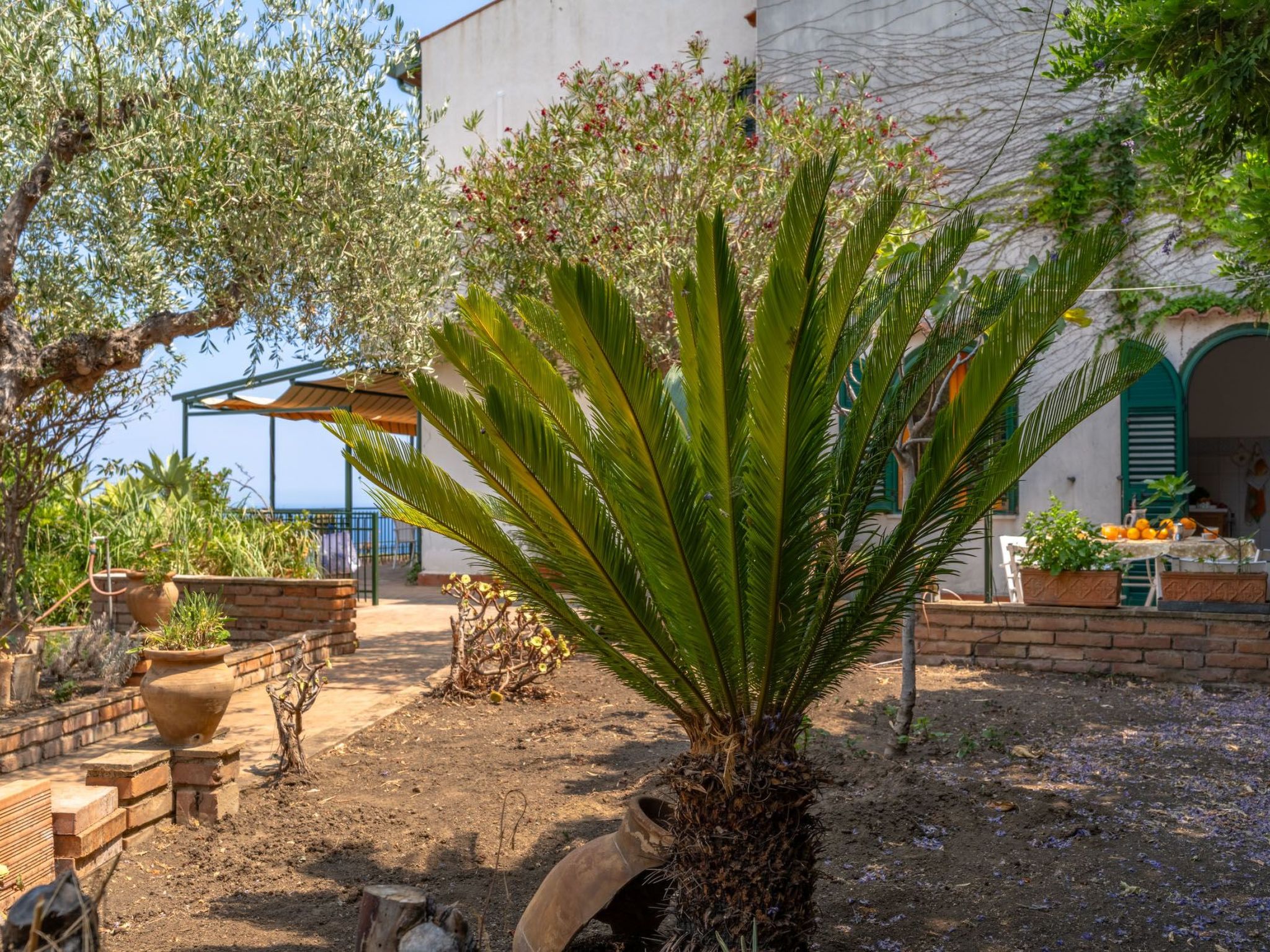 Angelo's Haus-Drinnen