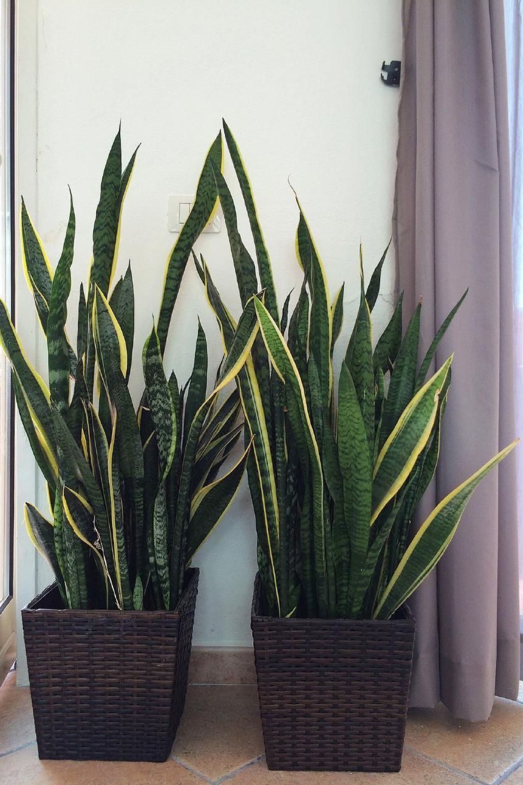 Citycenter Apartment-Inside