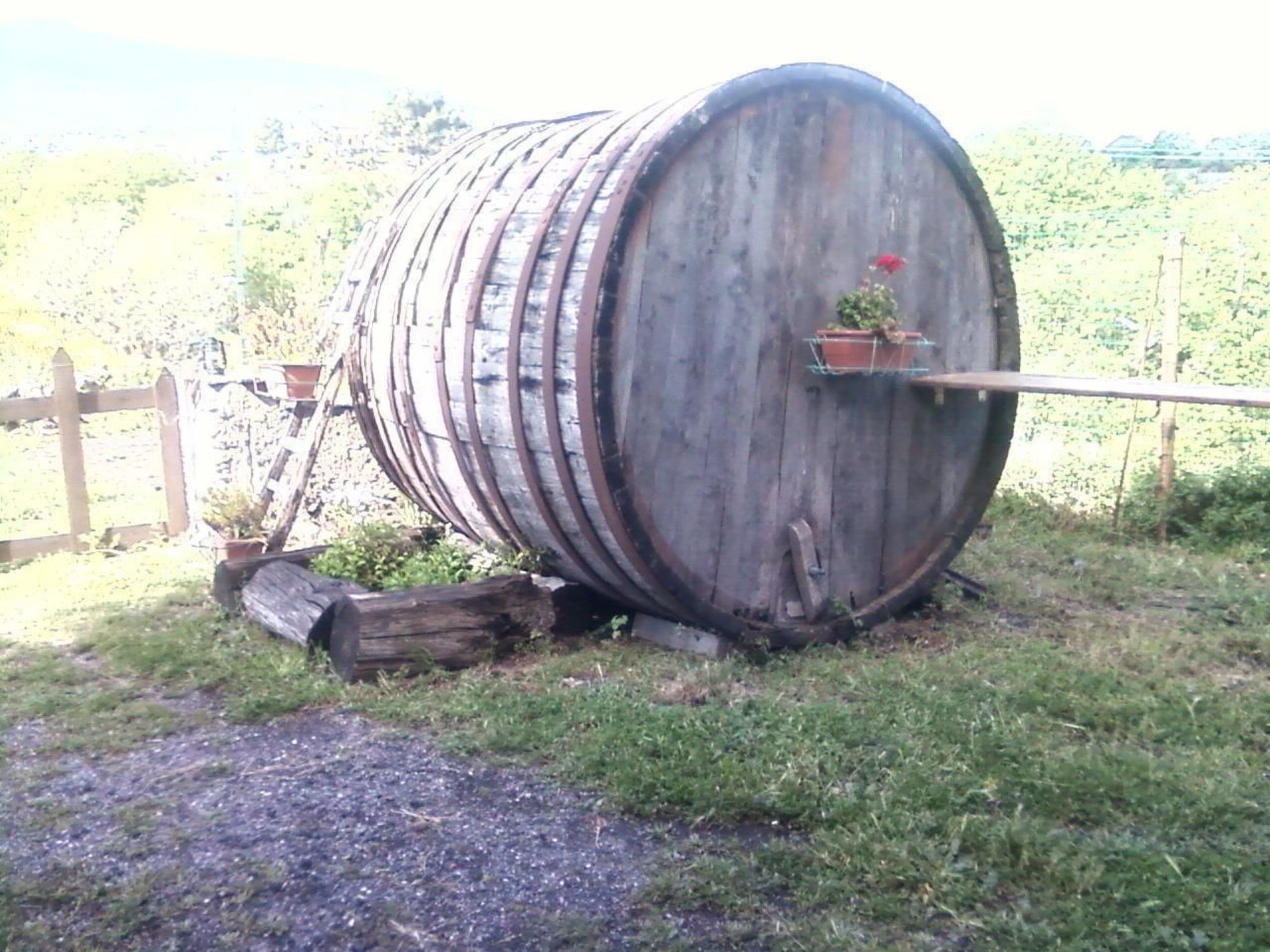 Gemütliches Appartement in Castiglione Di Sicilia mit Privatem Pool