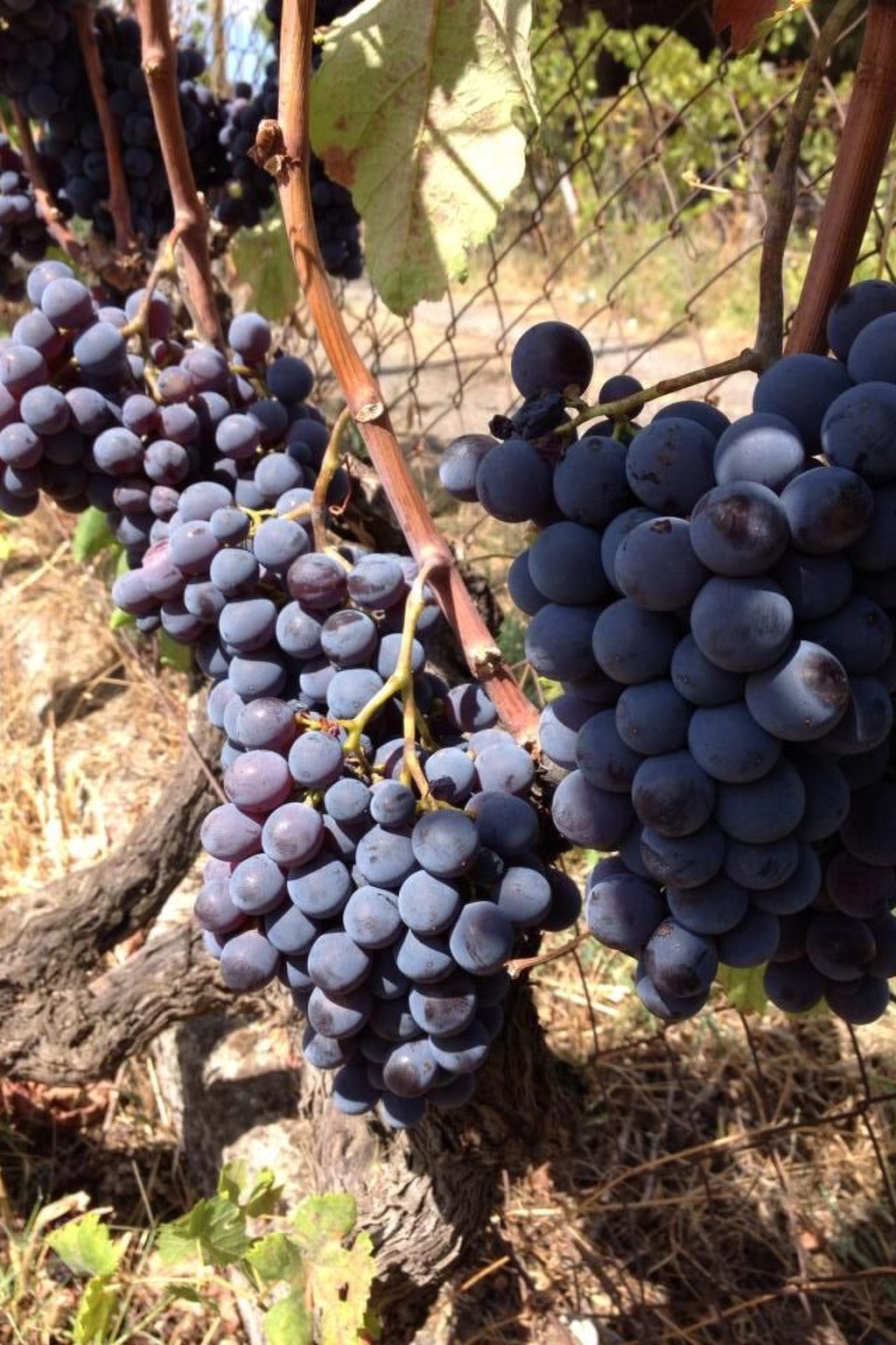 Gemütliches Appartement in Castiglione Di Sicilia mit Privatem Pool-Image-tags.info