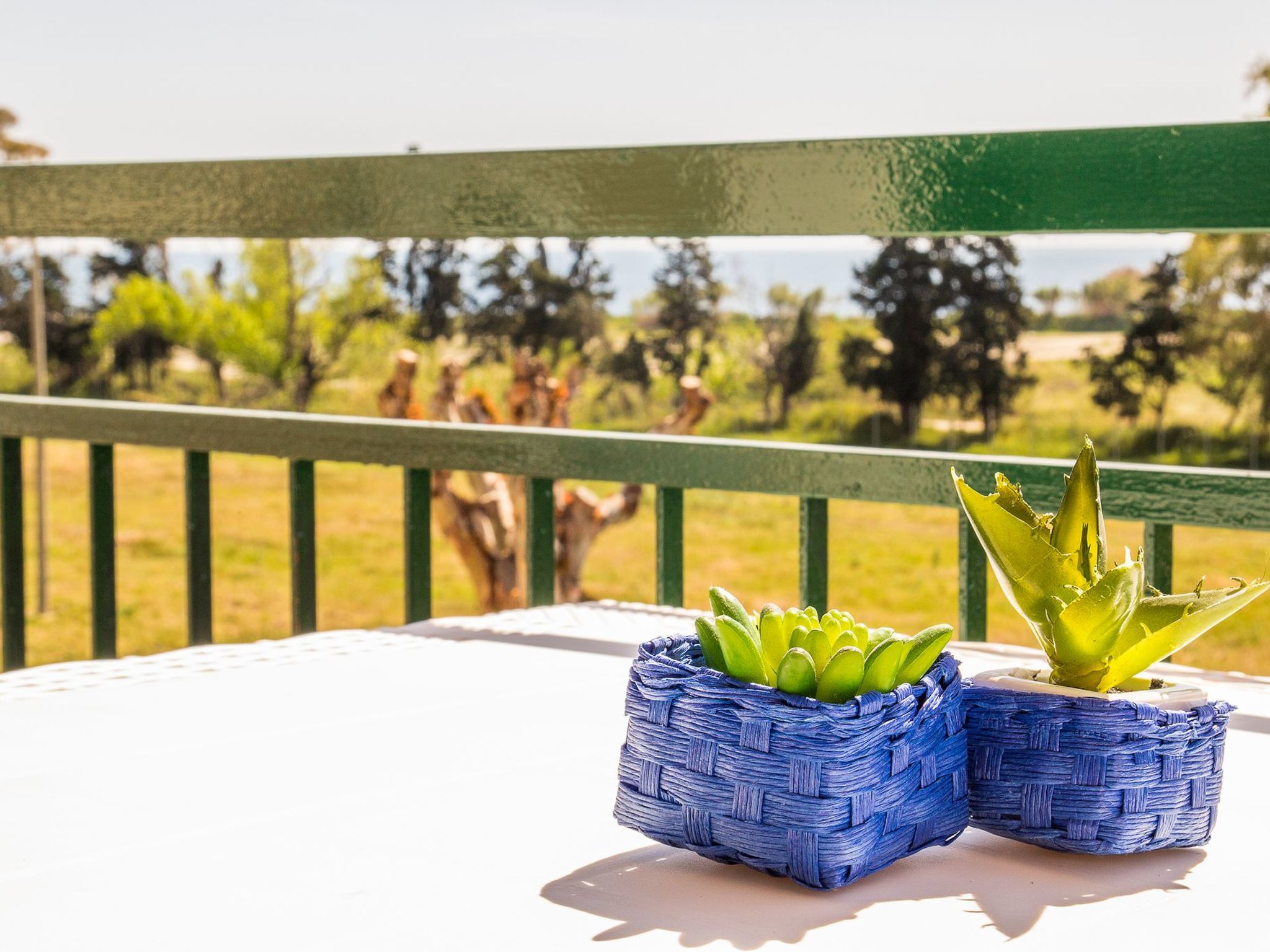 Discover the charm of a stay in Sicily at our cosy studio apartment in Chianchitta-Pallio, designed to accommodate up to three people. This lovely flat offers a complete and comfortable living solutio..