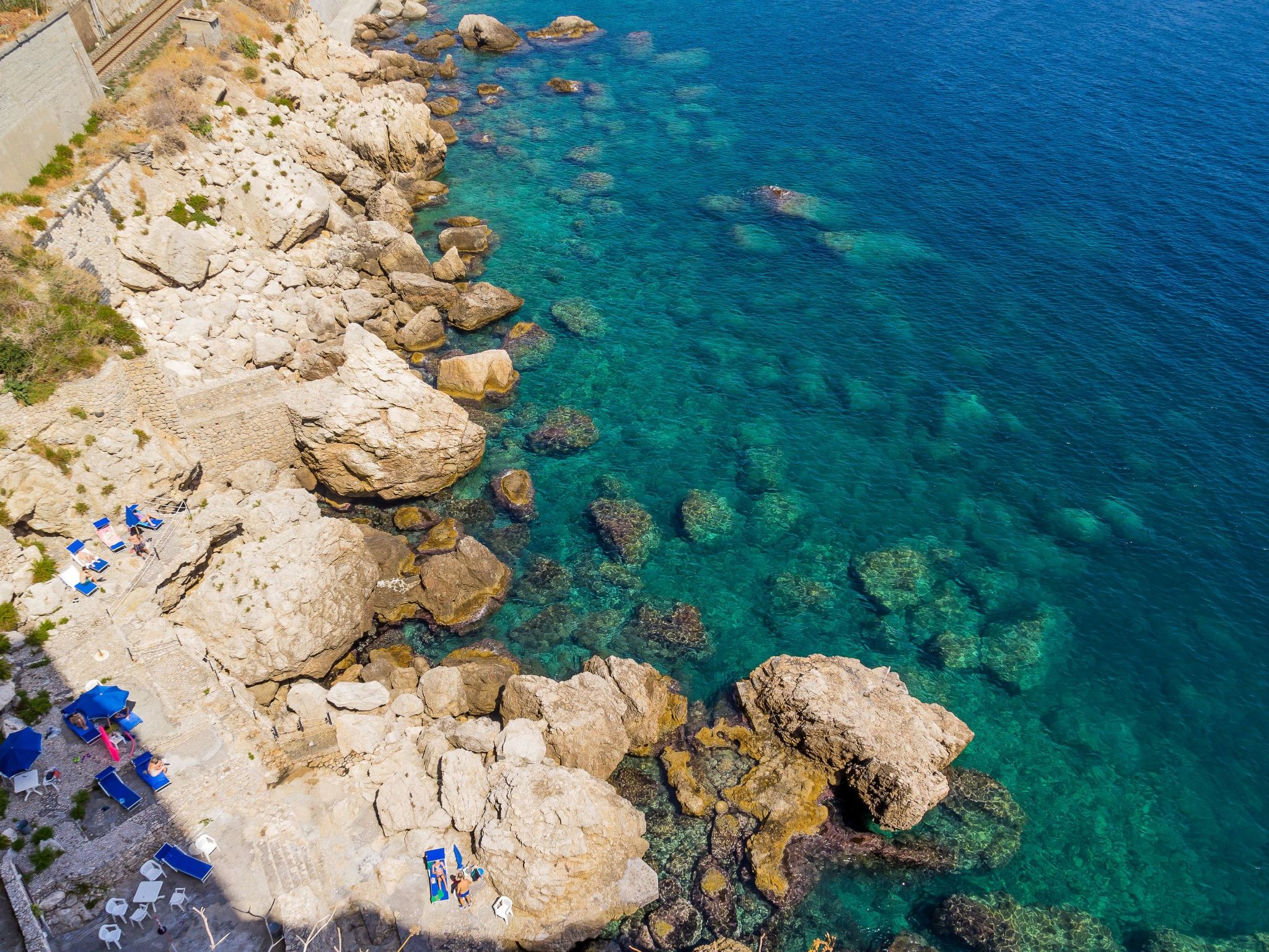 Sea Life in Taormina-Dedans