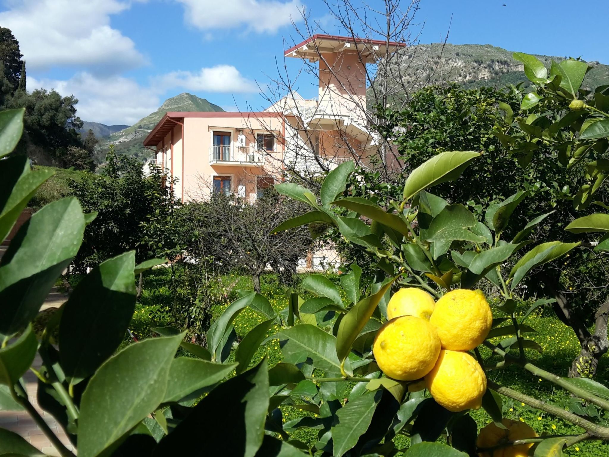 In Letojanni mit Terrasse-Inside